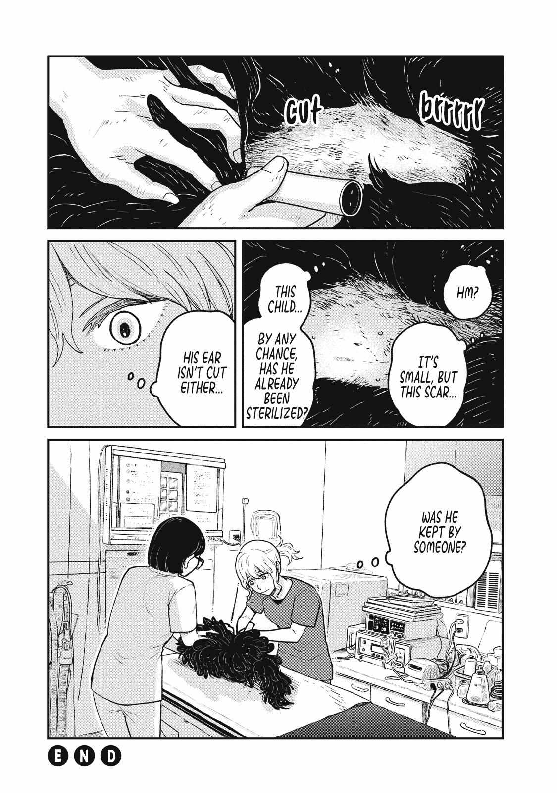 Tsureneko: Maruru to Hachi Chapter 24 page 14 - 