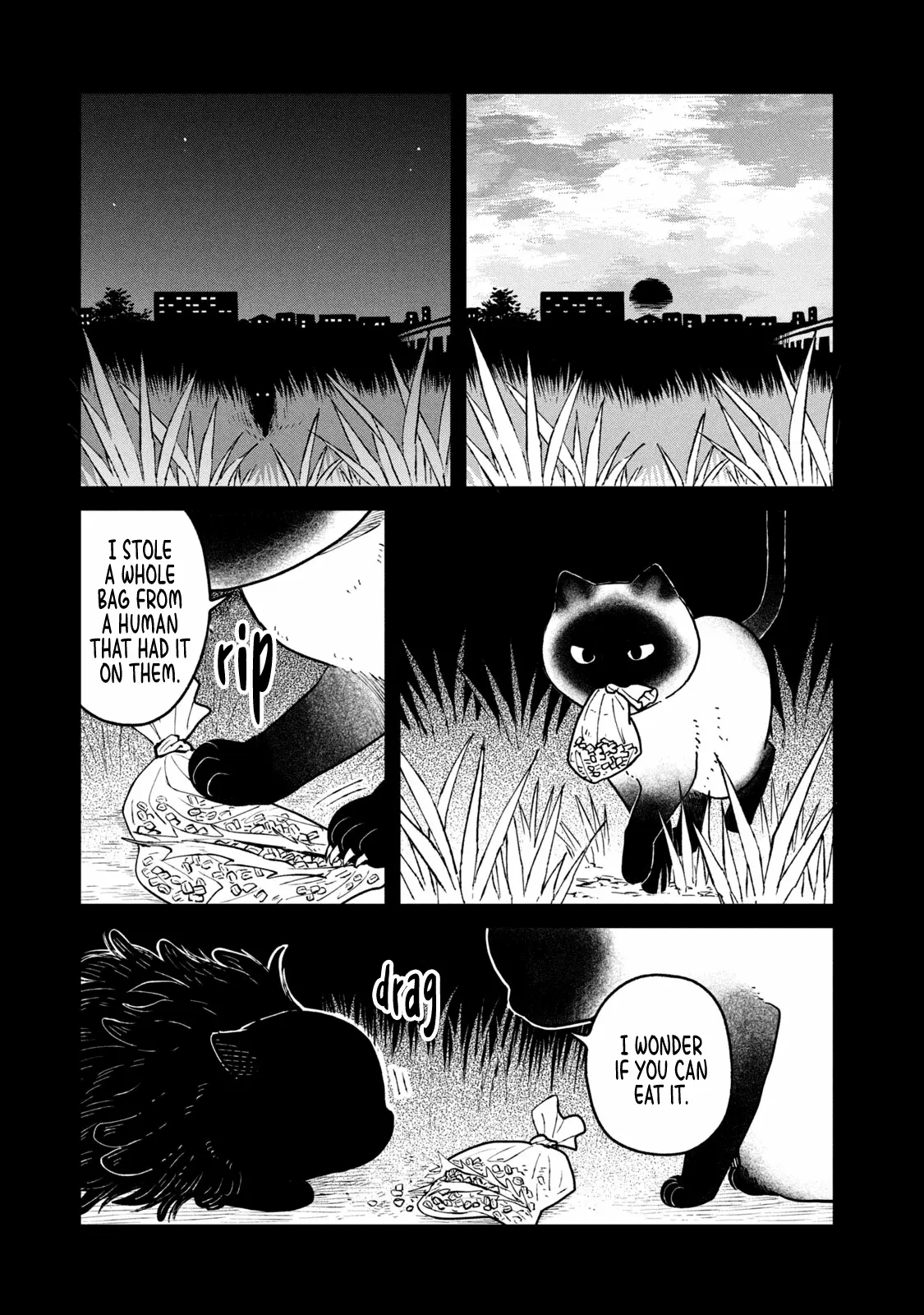 Tsureneko: Maruru to Hachi Chapter 25 page 12 - 