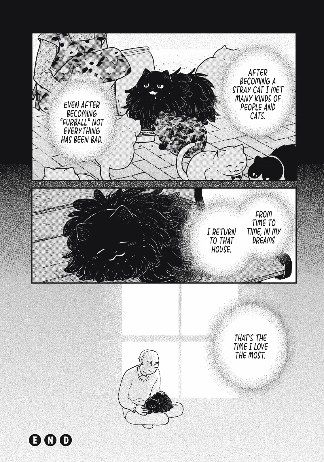 Tsureneko: Maruru to Hachi Chapter 25 page 15 - 