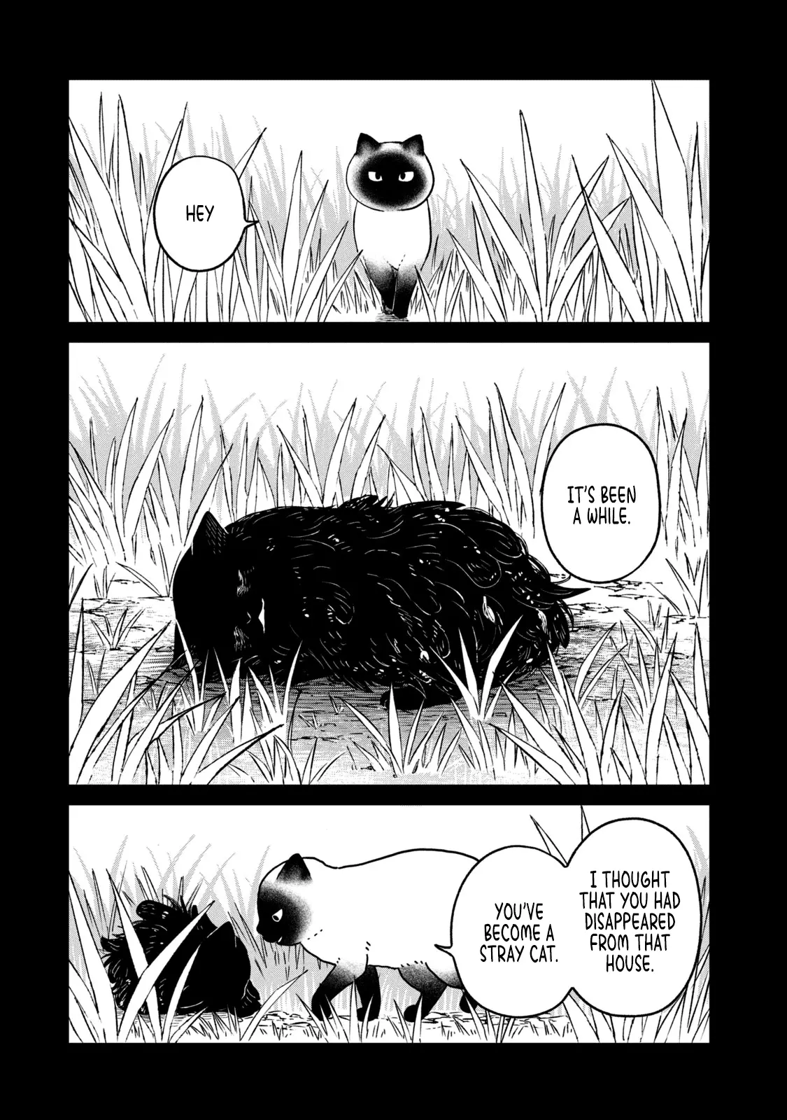 Tsureneko: Maruru to Hachi Chapter 25 page 10 - 