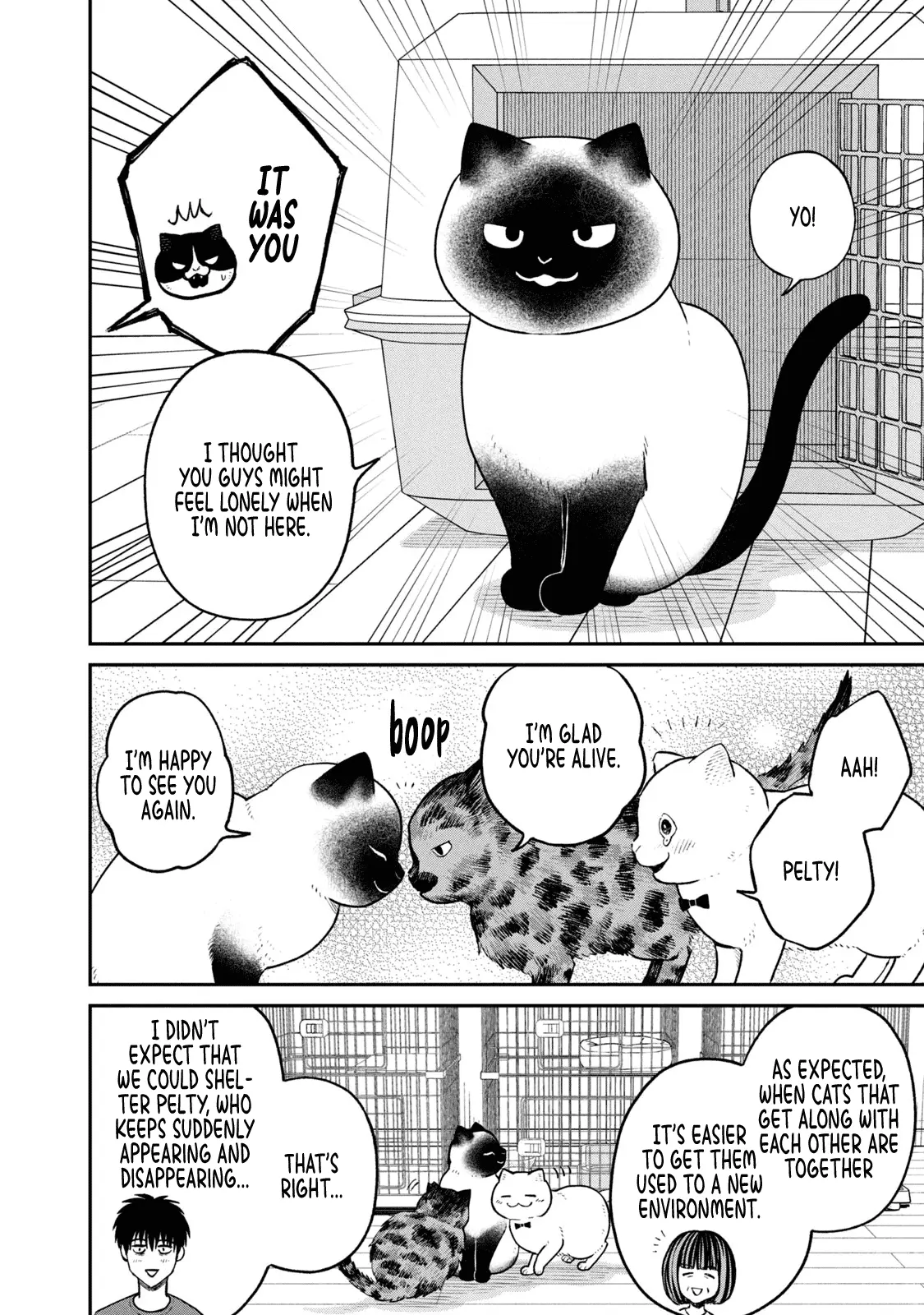Tsureneko: Maruru to Hachi Chapter 26 page 2 - 