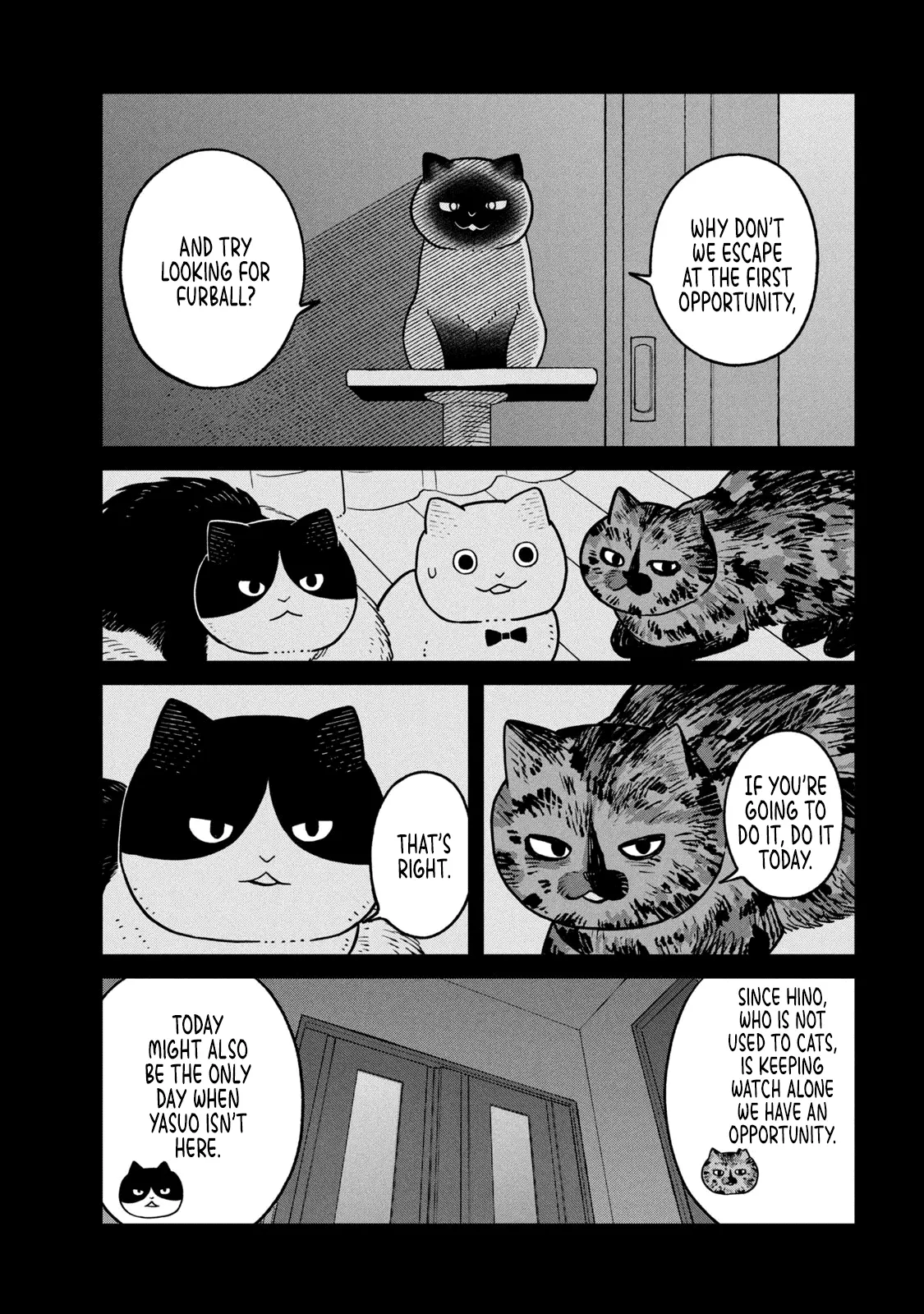 Tsureneko: Maruru to Hachi Chapter 27 page 11 - 