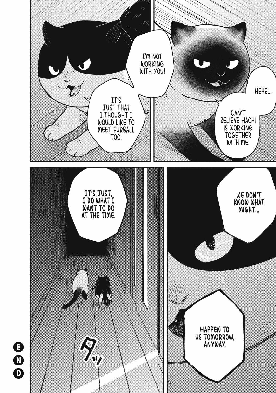 Tsureneko: Maruru to Hachi Chapter 27 page 13 - 