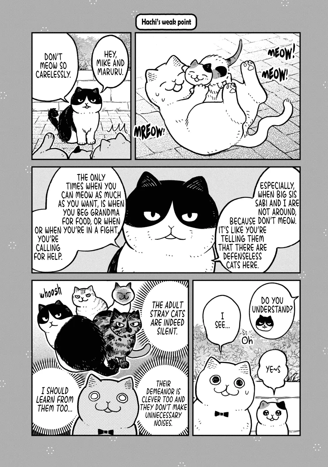Tsureneko: Maruru to Hachi Chapter 28.1 page 2 - 