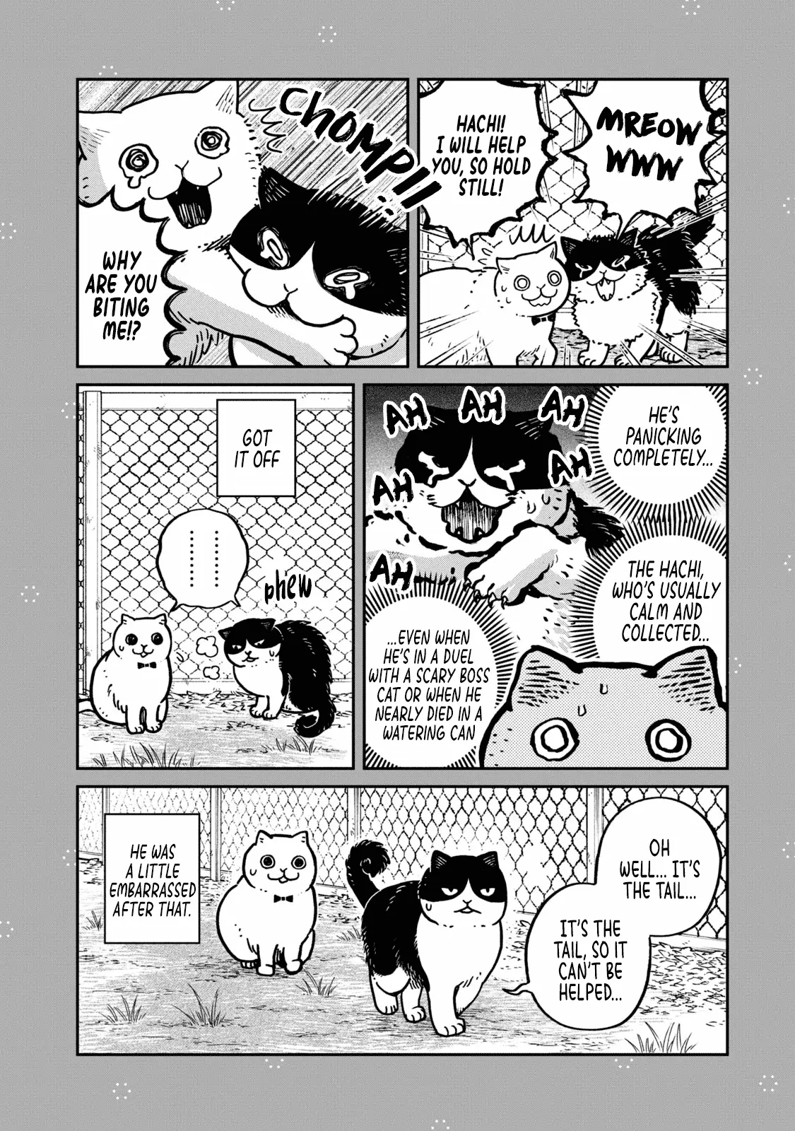 Tsureneko: Maruru to Hachi Chapter 28.1 page 4 - 