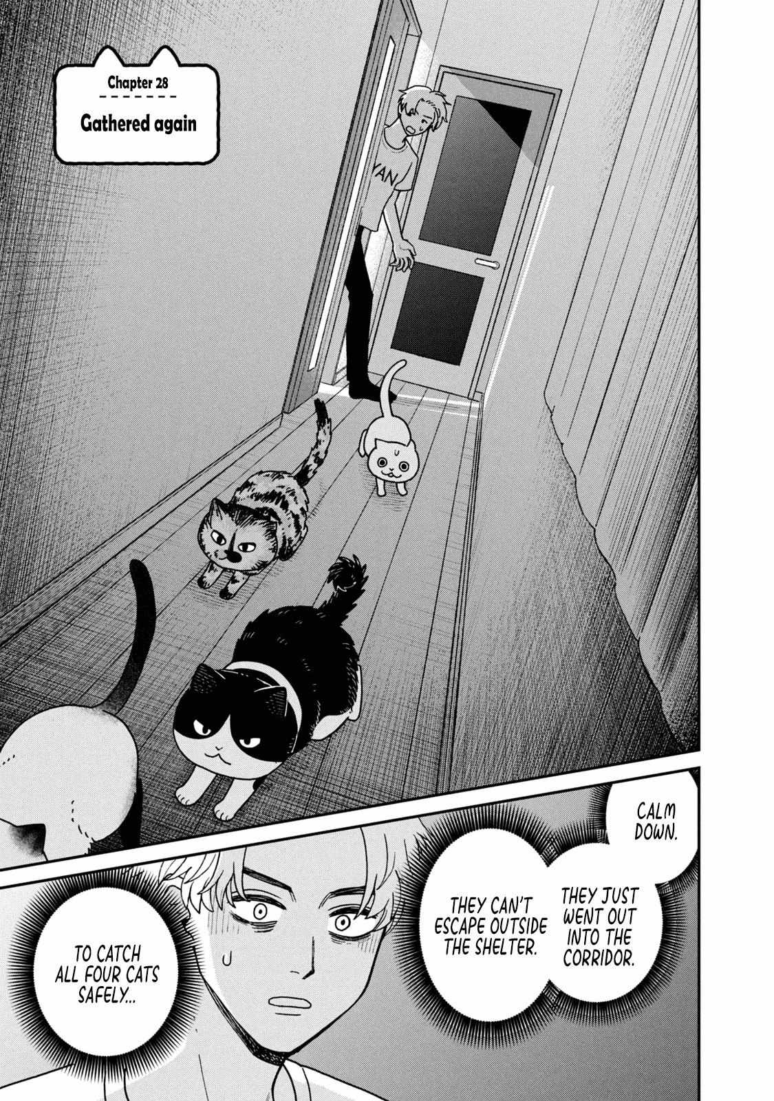 Tsureneko: Maruru to Hachi Chapter 28 page 1 - 