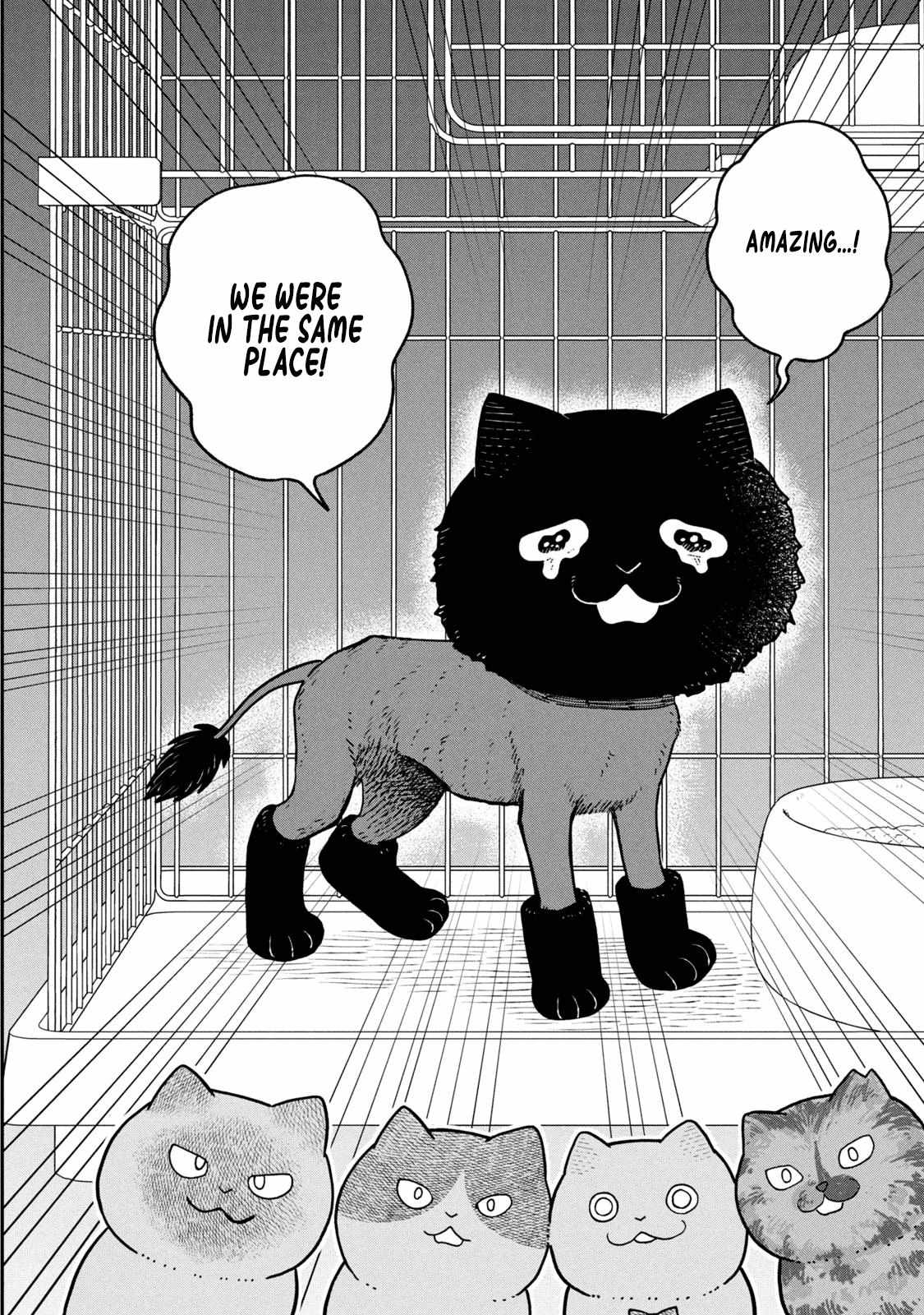 Tsureneko: Maruru to Hachi Chapter 28 page 4 - 