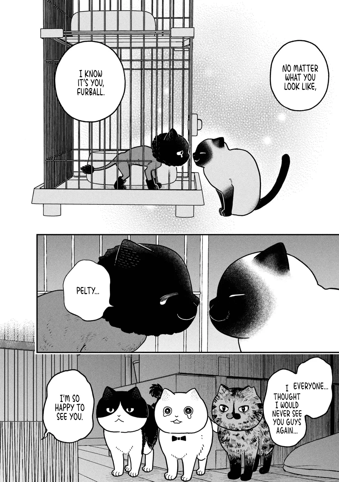 Tsureneko: Maruru to Hachi Chapter 28 page 6 - 