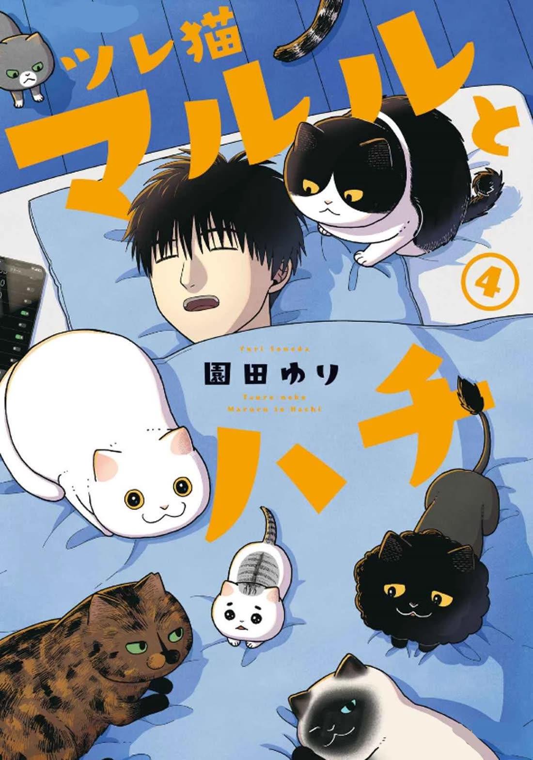 Tsureneko: Maruru to Hachi Chapter 29 page 2 - 