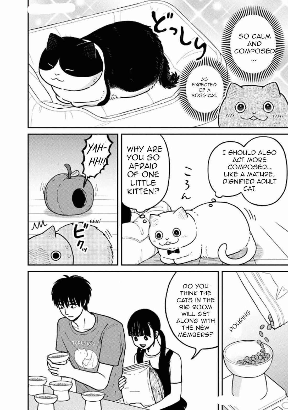 Tsureneko: Maruru to Hachi Chapter 29 page 11 - 