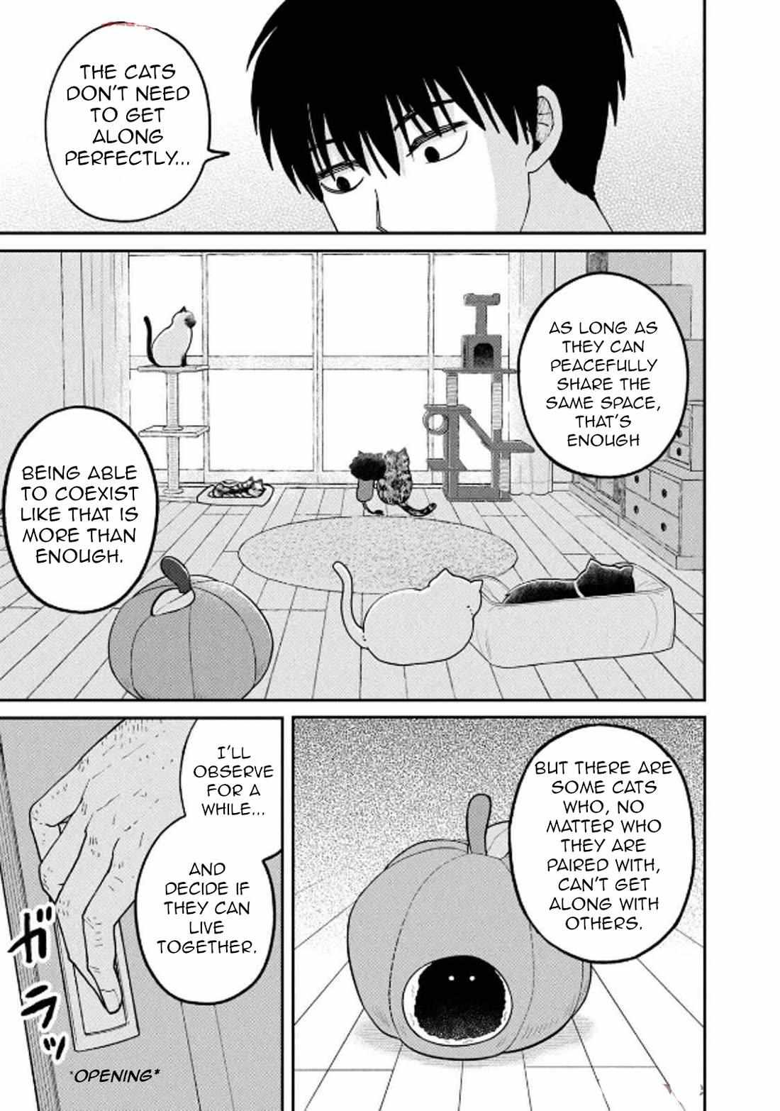 Tsureneko: Maruru to Hachi Chapter 29 page 12 - 