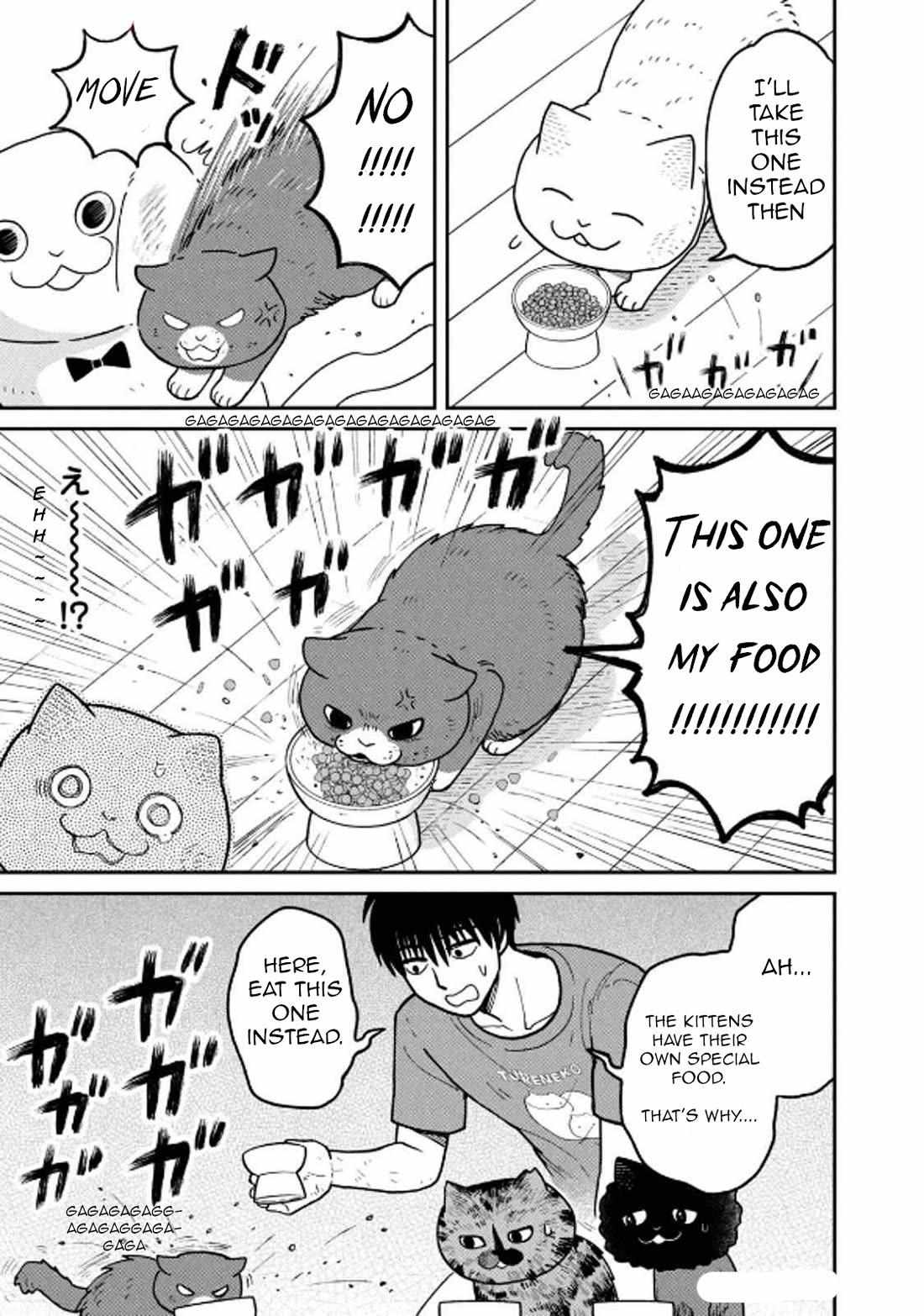 Tsureneko: Maruru to Hachi Chapter 29 page 14 - 