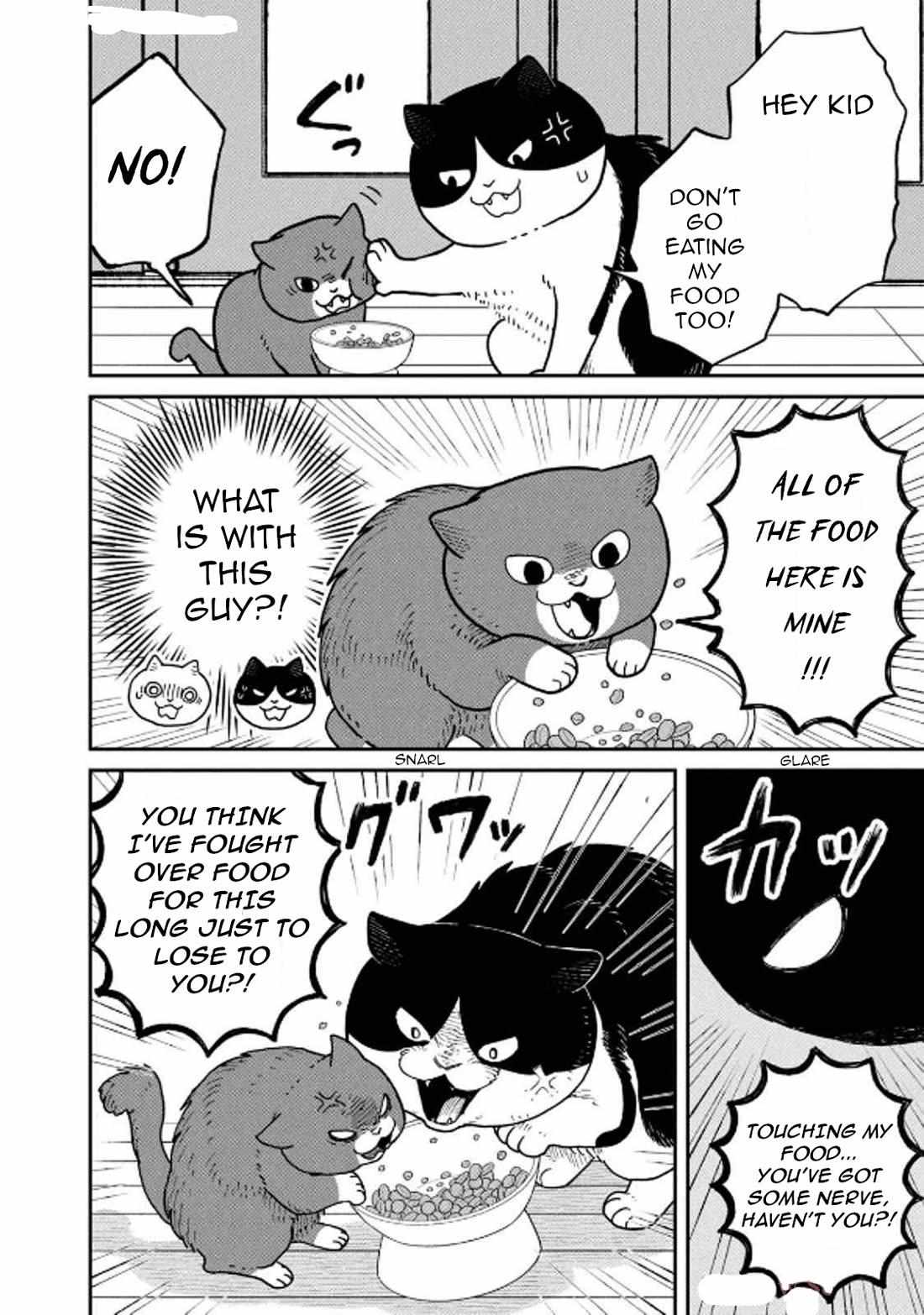 Tsureneko: Maruru to Hachi Chapter 29 page 15 - 