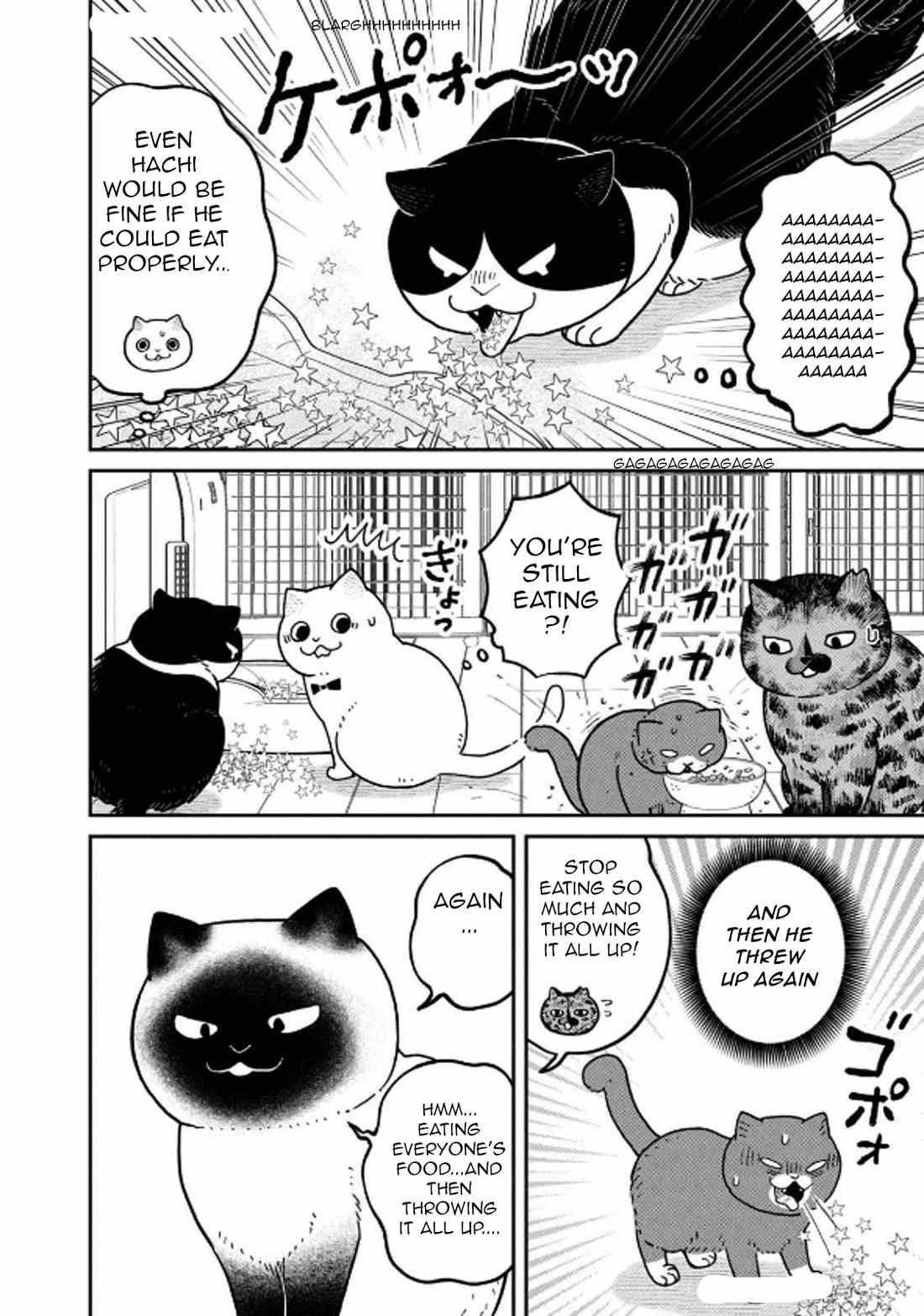 Tsureneko: Maruru to Hachi Chapter 29 page 17 - 