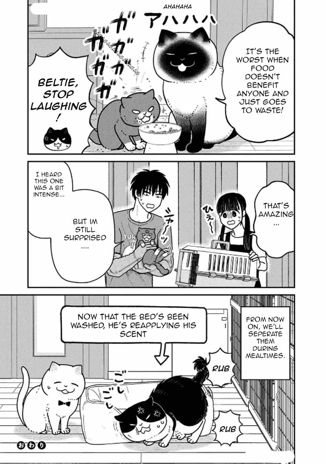 Tsureneko: Maruru to Hachi Chapter 29 page 18 - 