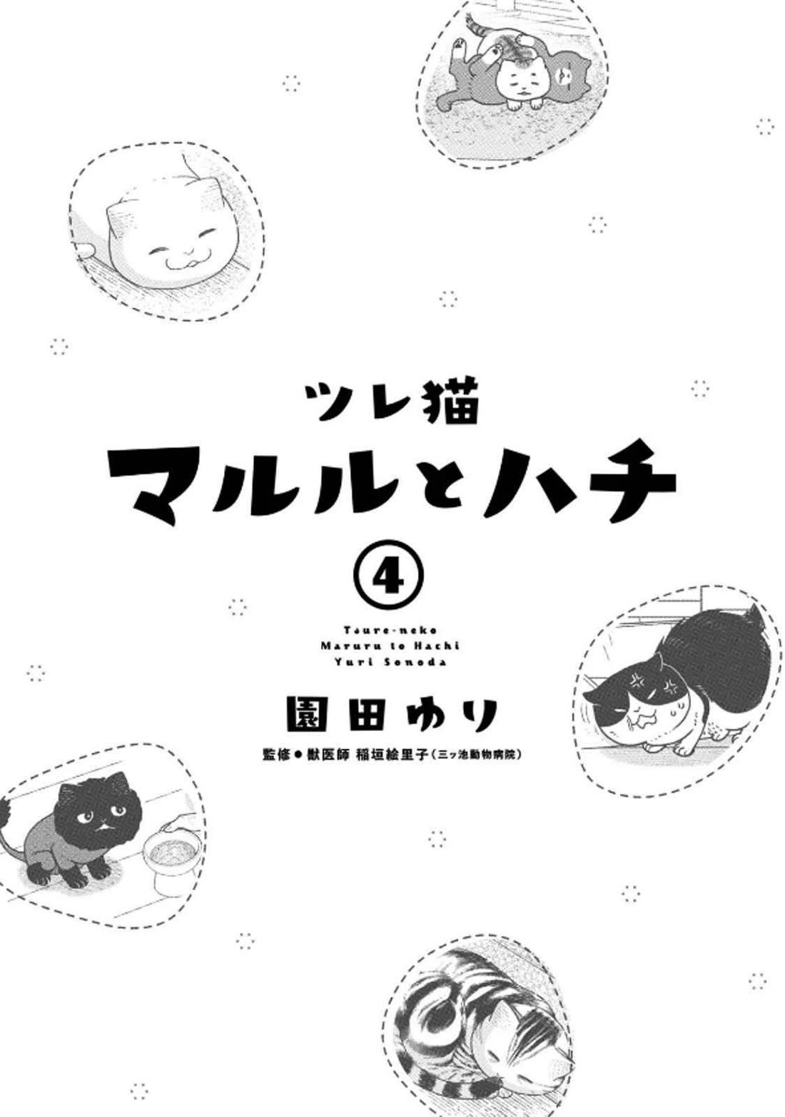 Tsureneko: Maruru to Hachi Chapter 29 page 4 - 