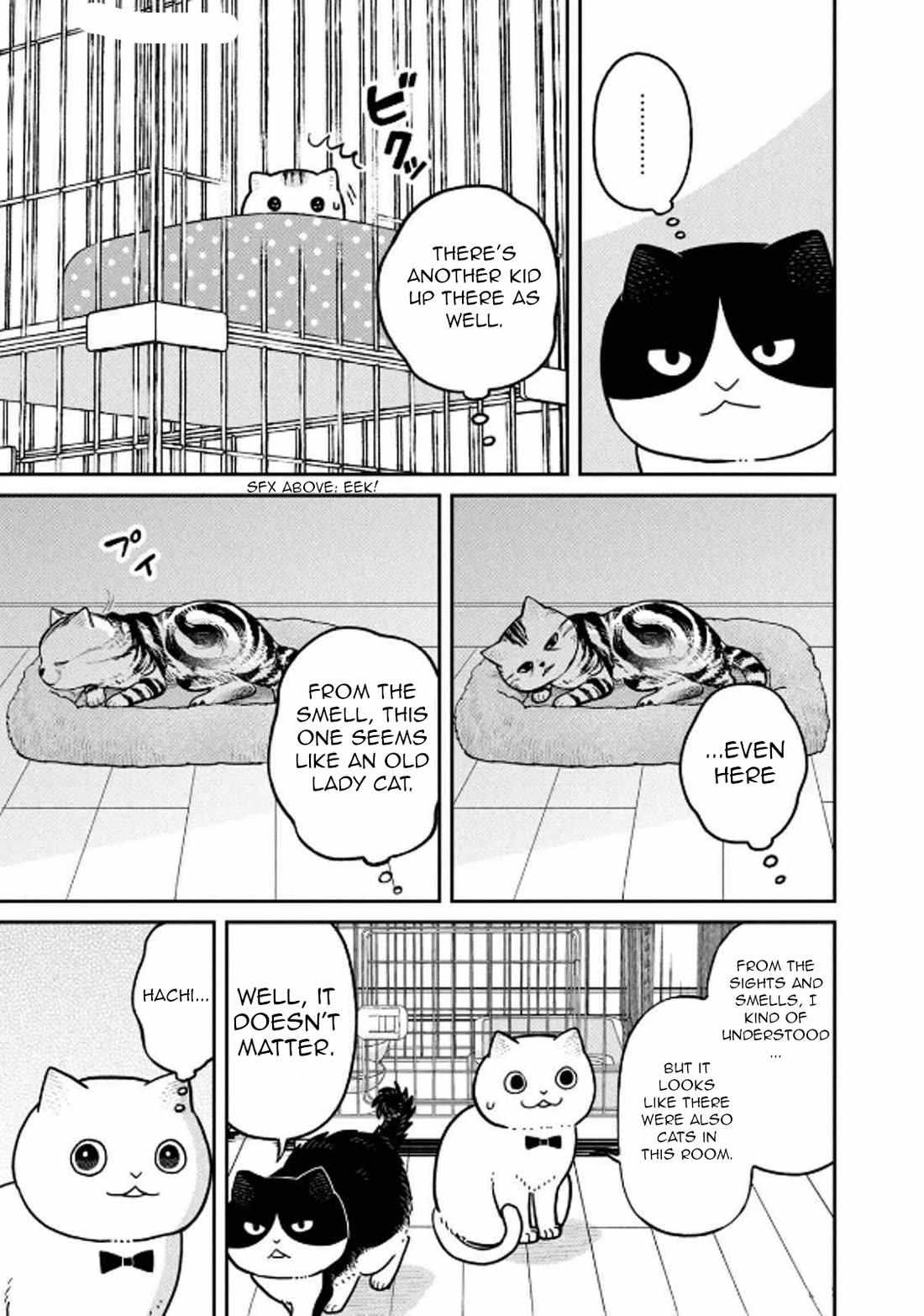 Tsureneko: Maruru to Hachi Chapter 29 page 10 - 