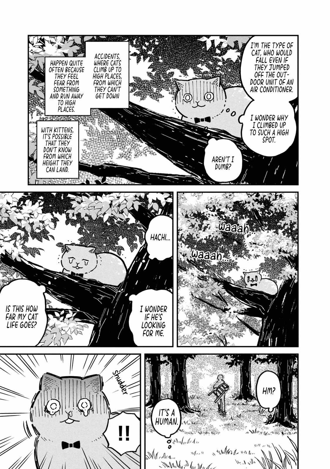 Tsureneko: Maruru to Hachi Chapter 3 page 15 - 