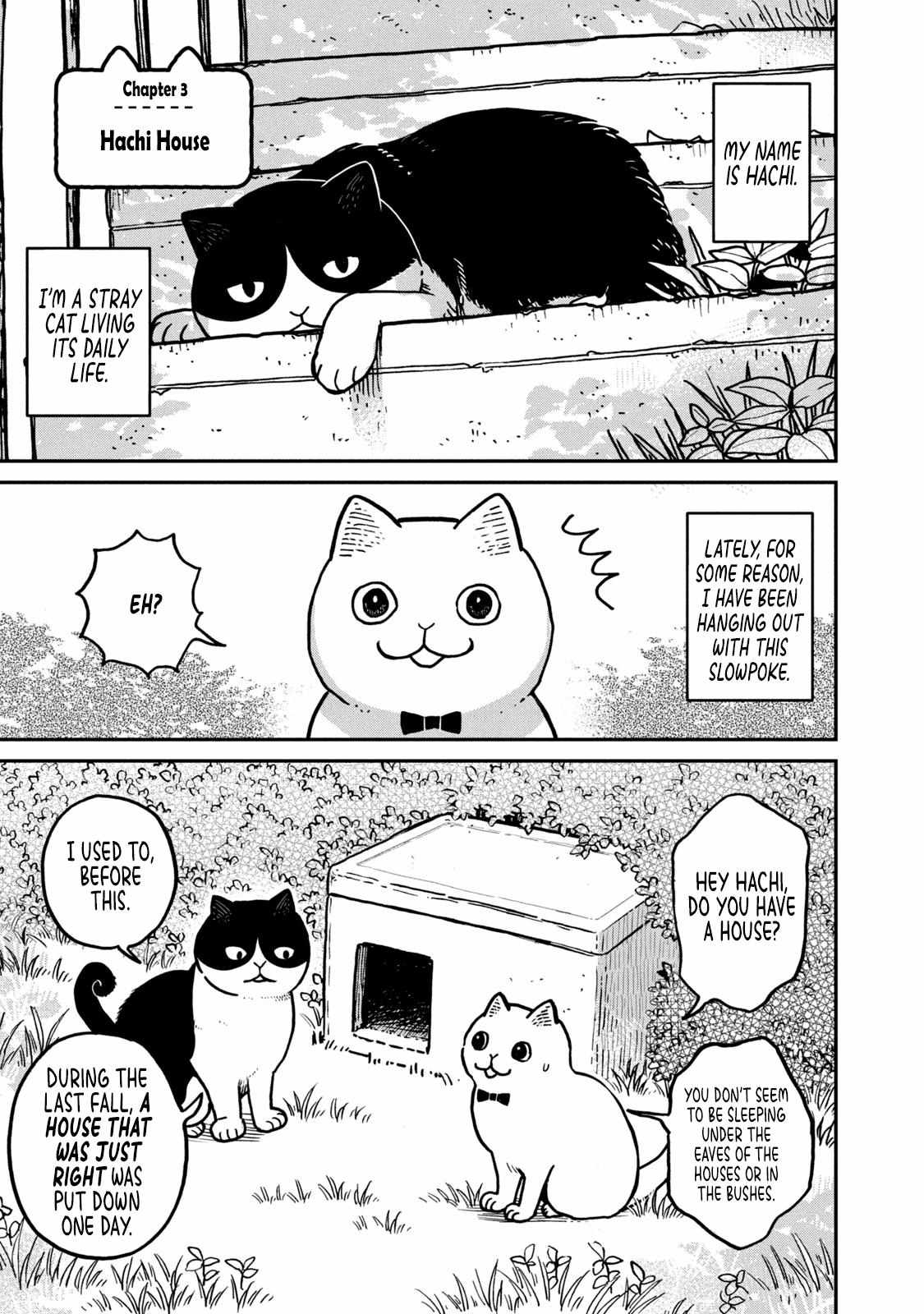 Tsureneko: Maruru to Hachi Chapter 3 page 3 - 