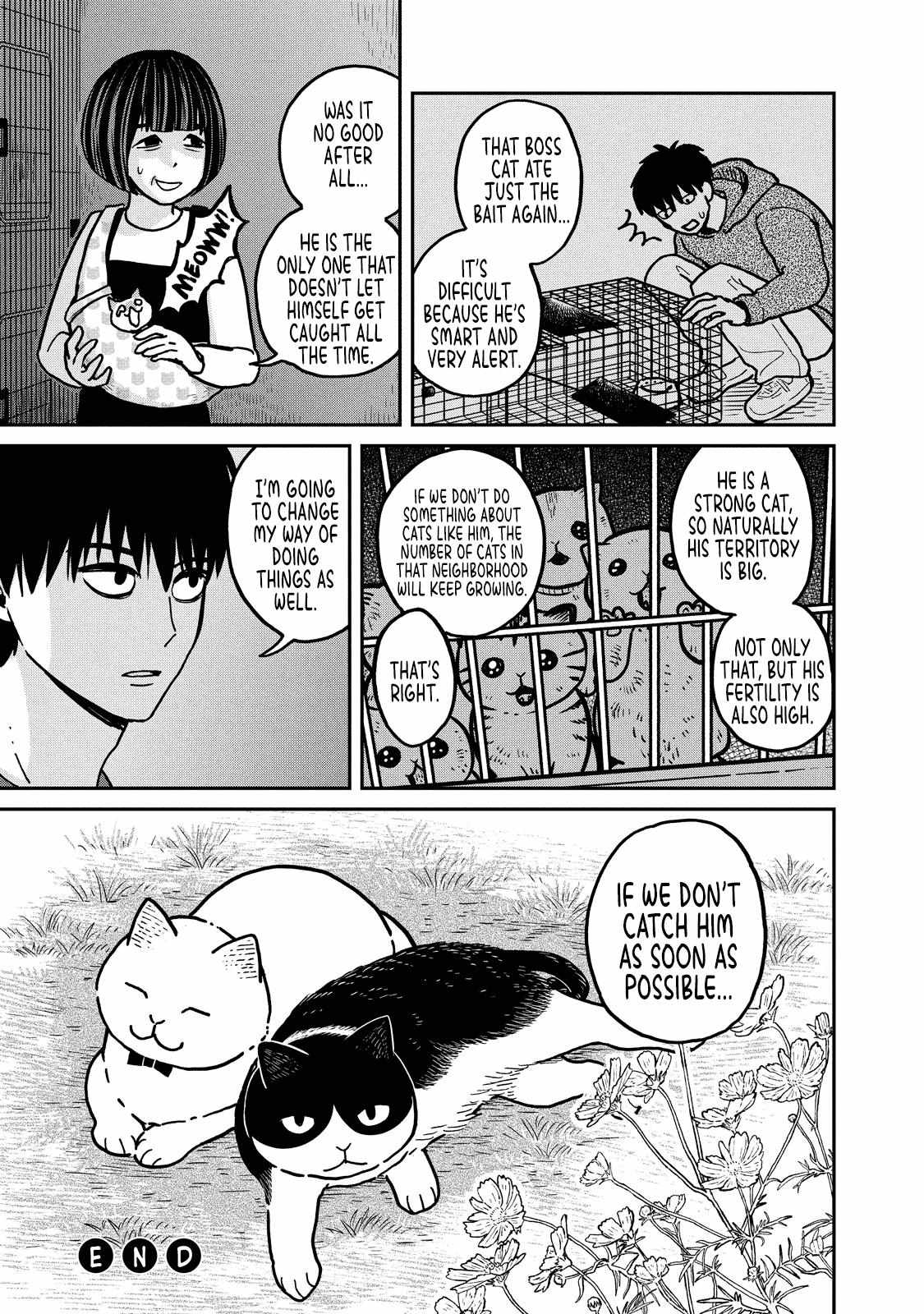 Tsureneko: Maruru to Hachi Chapter 3 page 23 - 