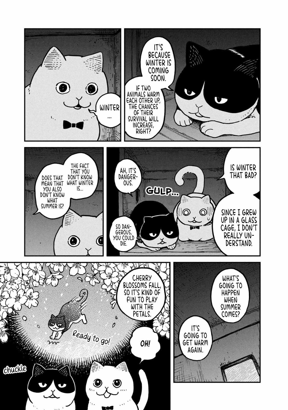 Tsureneko: Maruru to Hachi Chapter 3 page 5 - 
