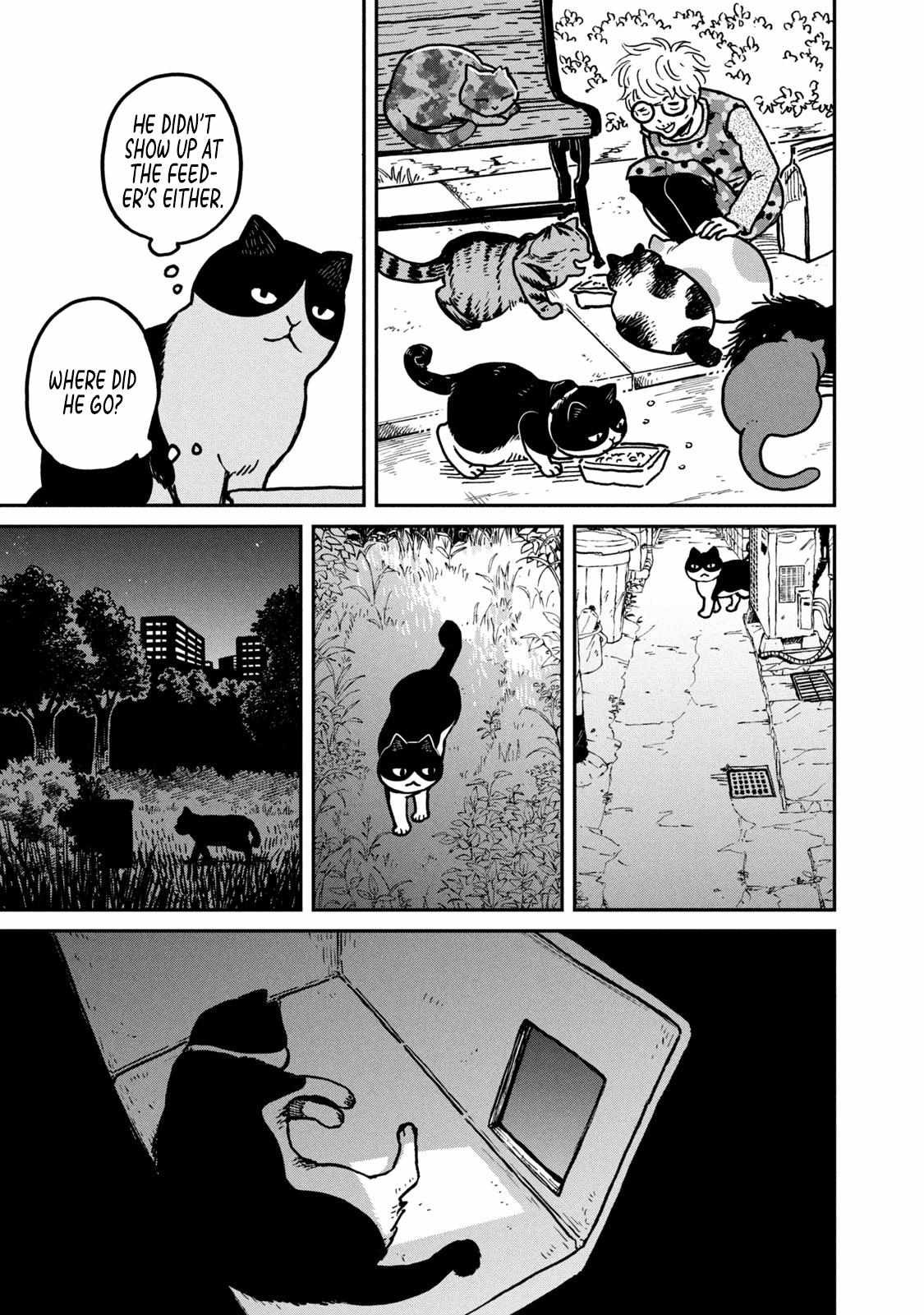 Tsureneko: Maruru to Hachi Chapter 3 page 7 - 