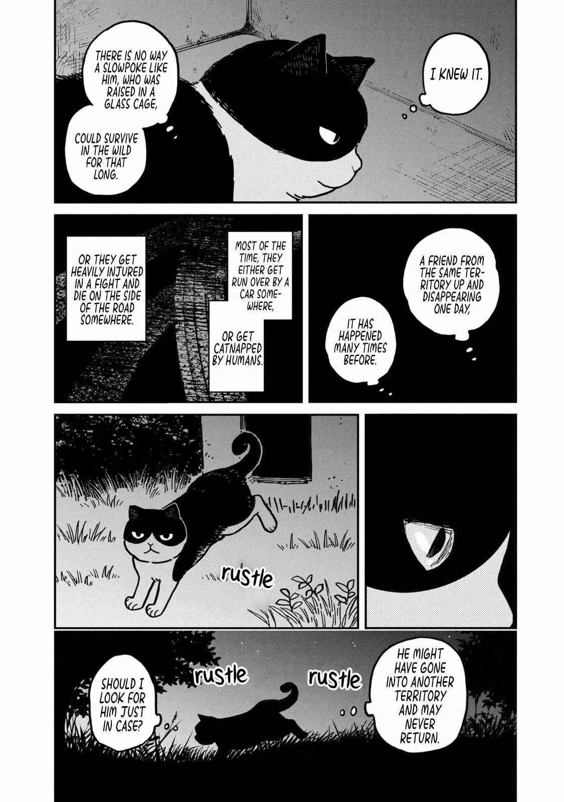 Tsureneko: Maruru to Hachi Chapter 3 page 8 - 