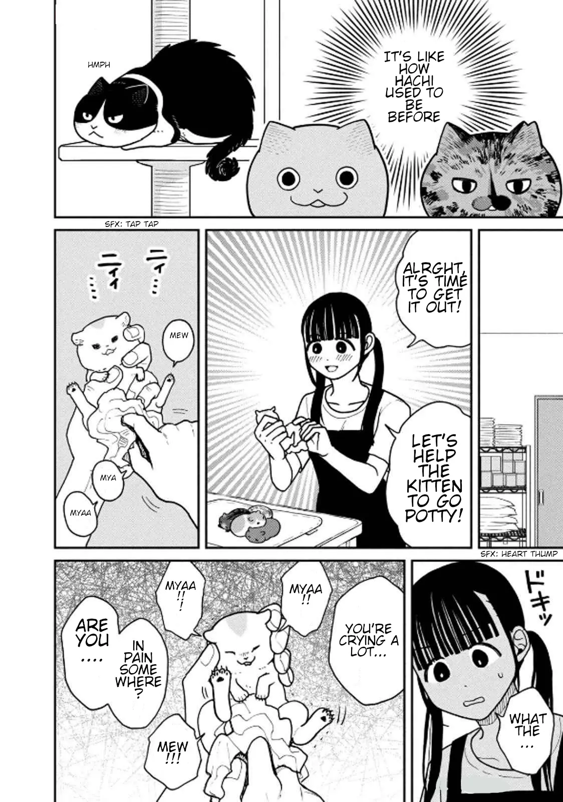 Tsureneko: Maruru to Hachi Chapter 30 page 2 - 
