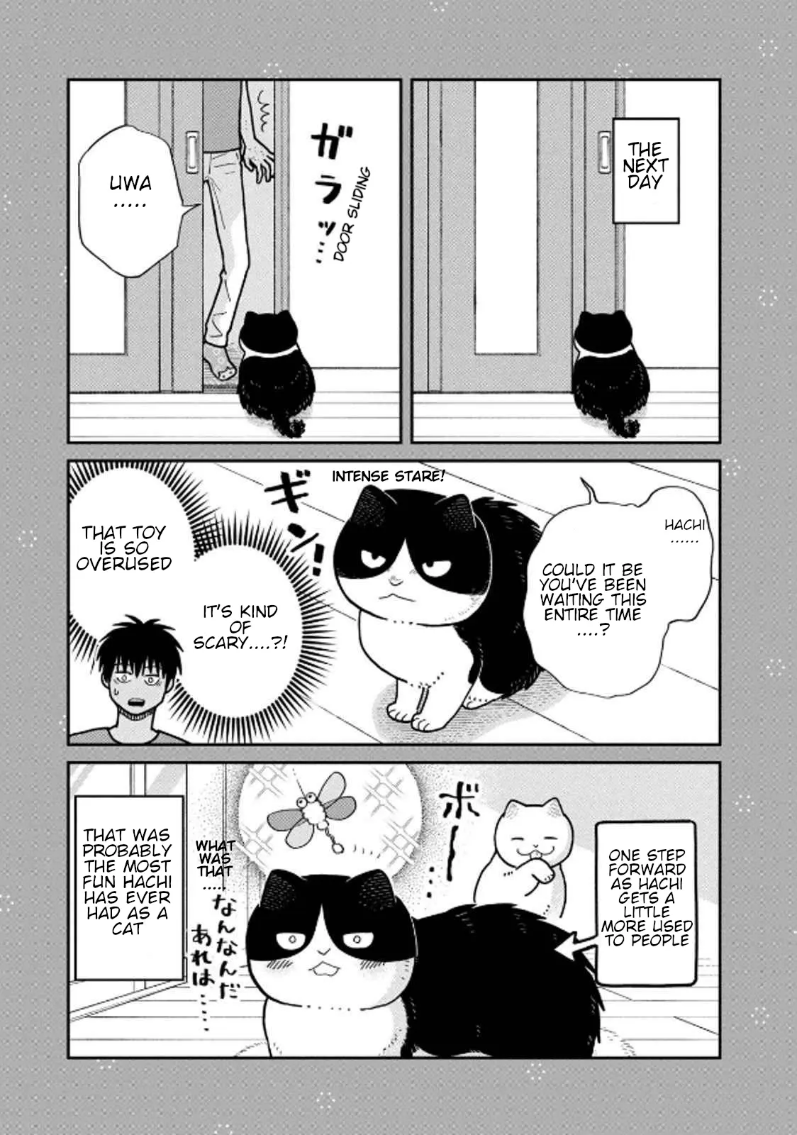 Tsureneko: Maruru to Hachi Chapter 31 page 18 - 