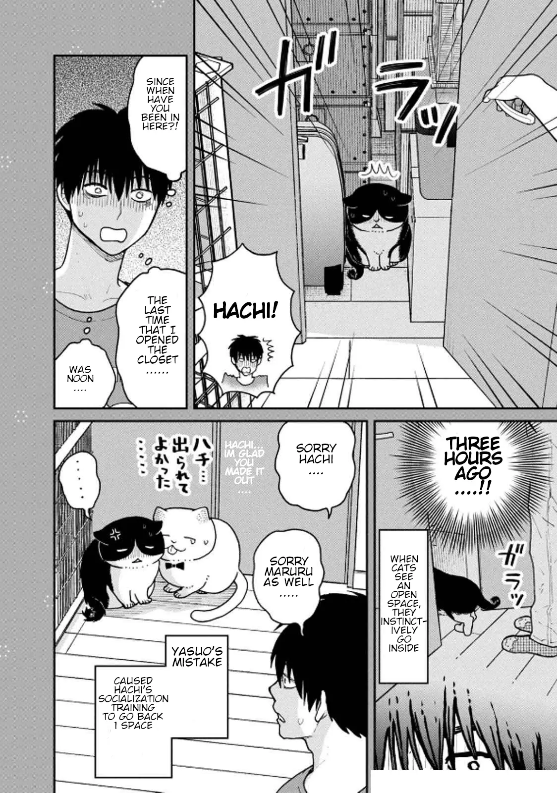 Tsureneko: Maruru to Hachi Chapter 31 page 20 - 