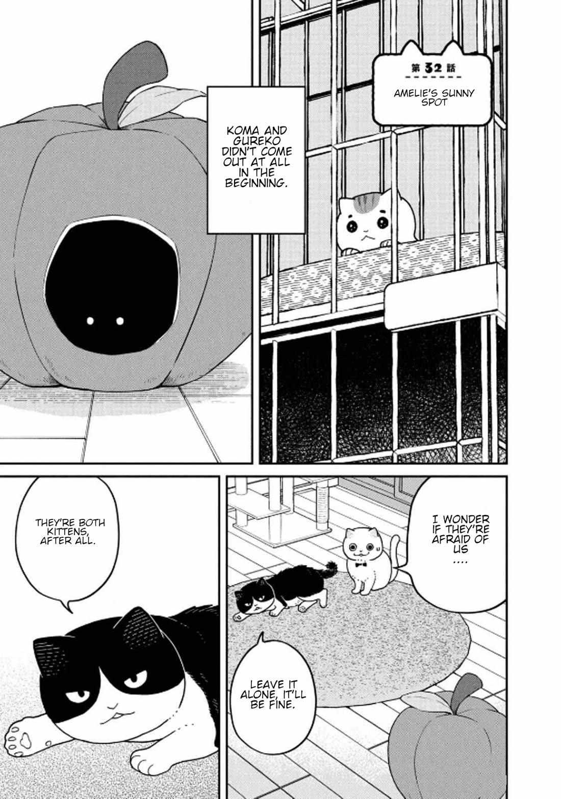 Tsureneko: Maruru to Hachi Chapter 32 page 1 - 