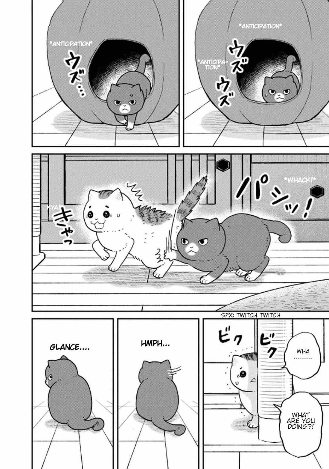 Tsureneko: Maruru to Hachi Chapter 32 page 2 - 