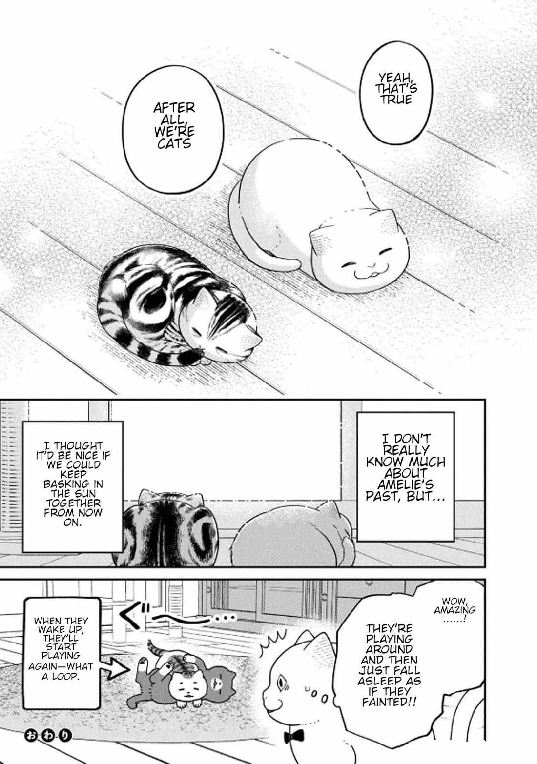 Tsureneko: Maruru to Hachi Chapter 32 page 11 - 