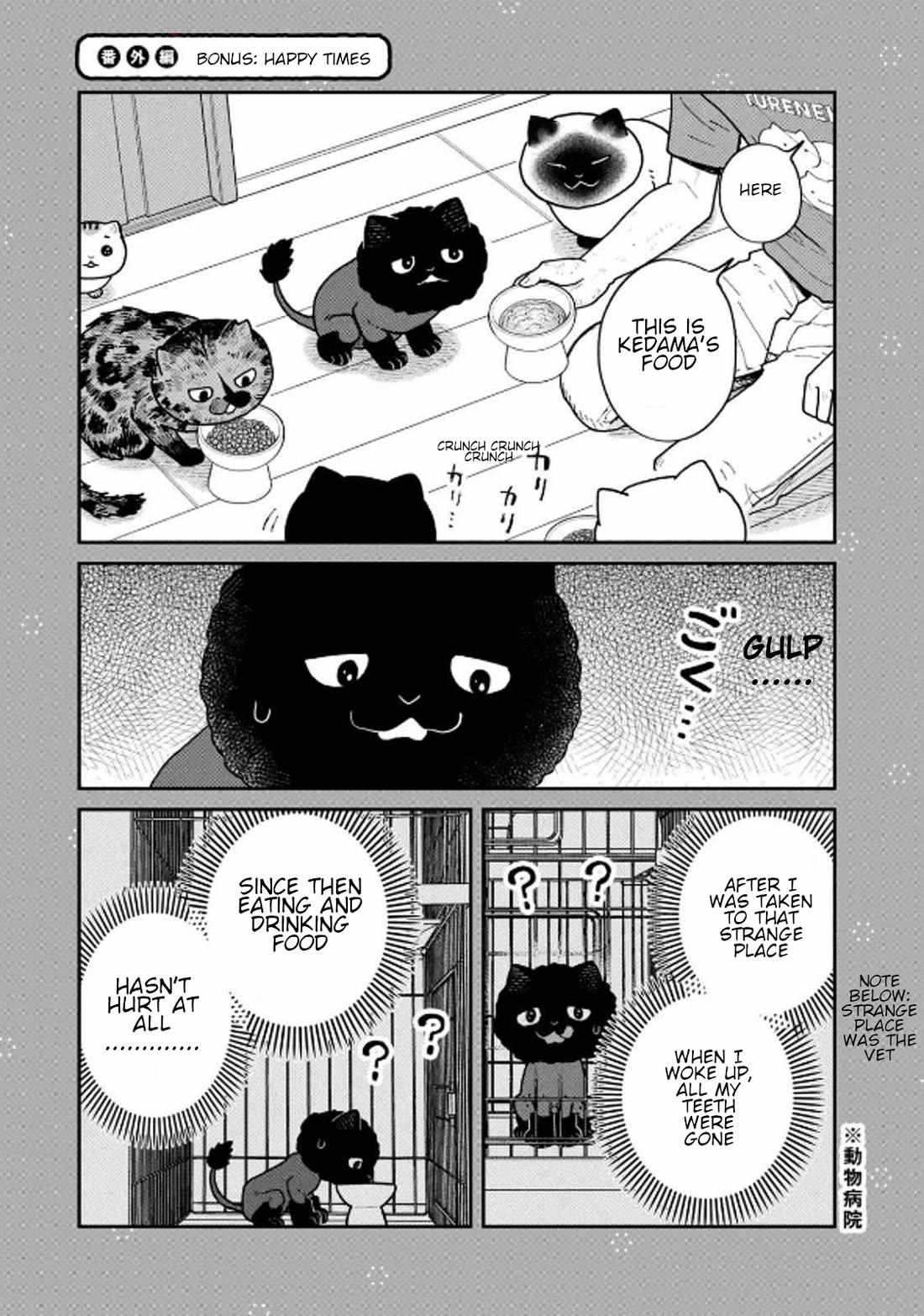 Tsureneko: Maruru to Hachi Chapter 32 page 13 - 
