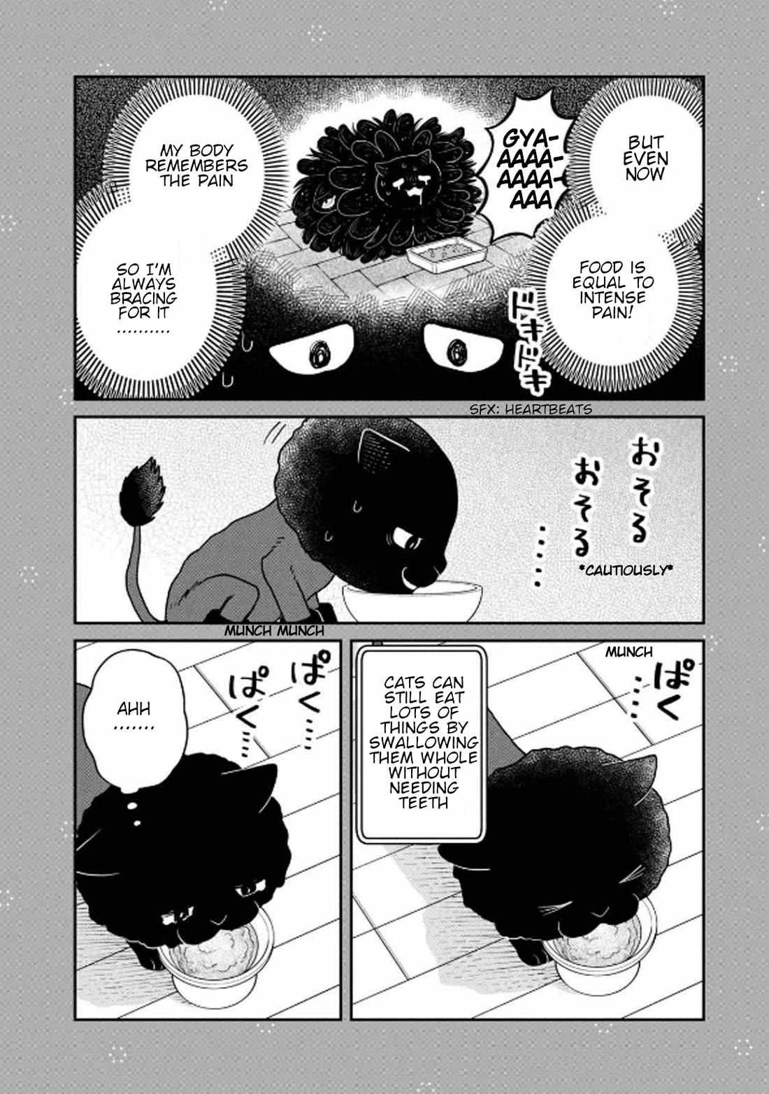 Tsureneko: Maruru to Hachi Chapter 32 page 14 - 