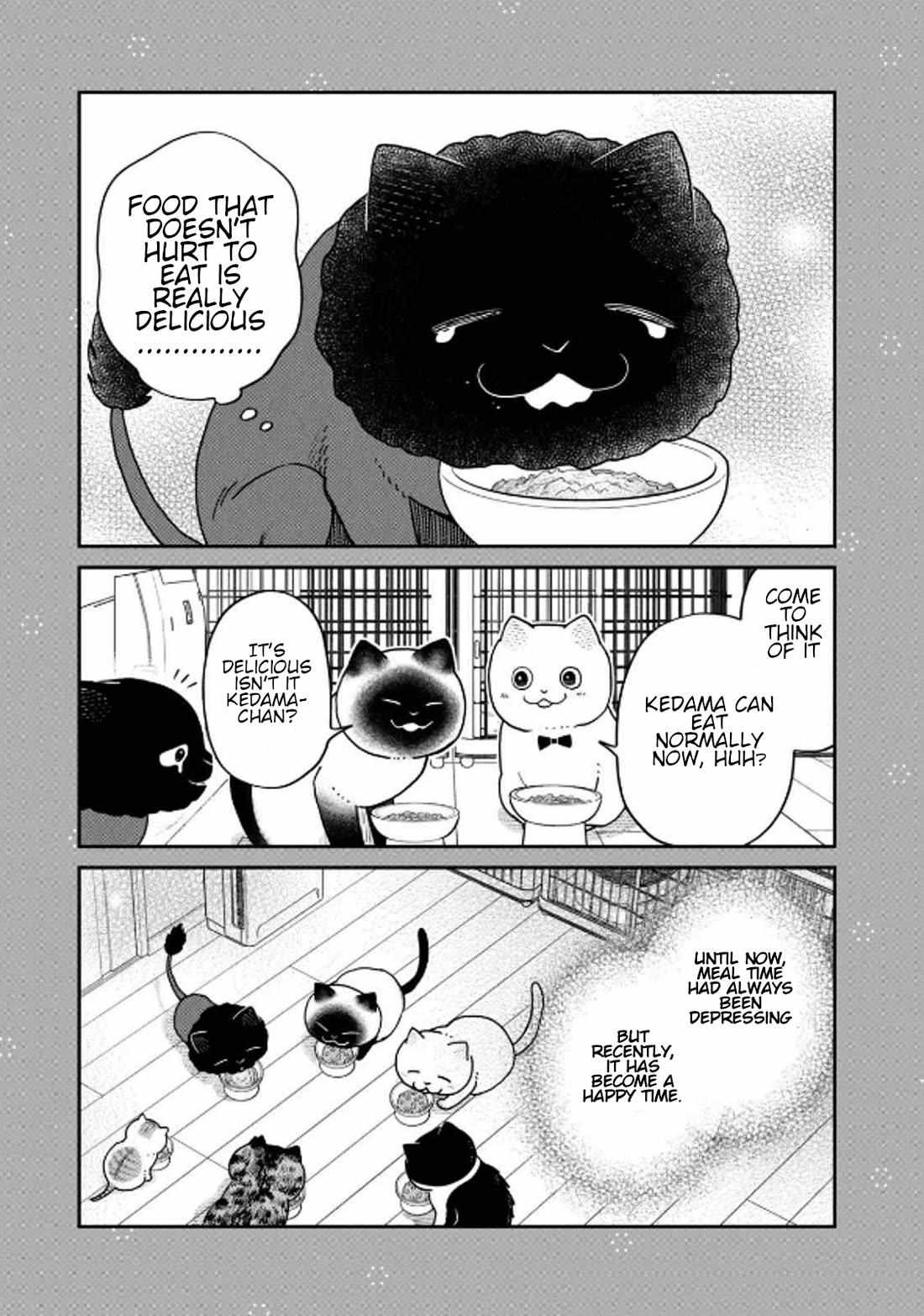 Tsureneko: Maruru to Hachi Chapter 32 page 15 - 