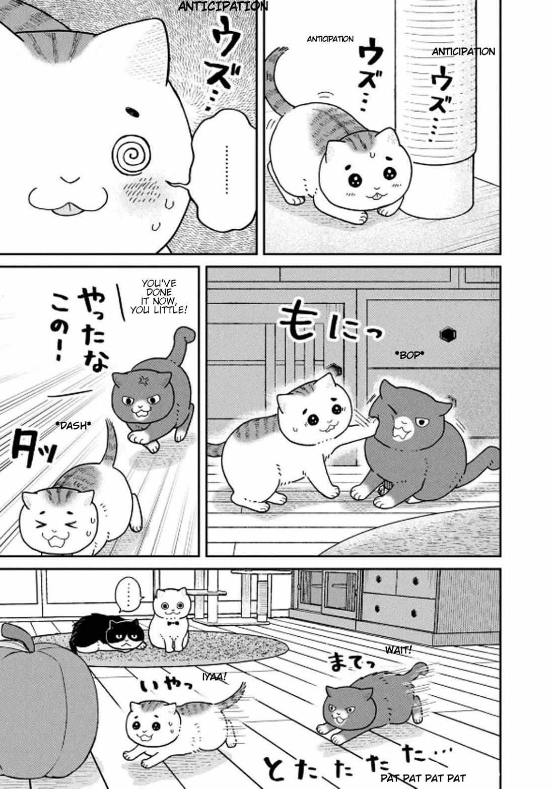 Tsureneko: Maruru to Hachi Chapter 32 page 3 - 