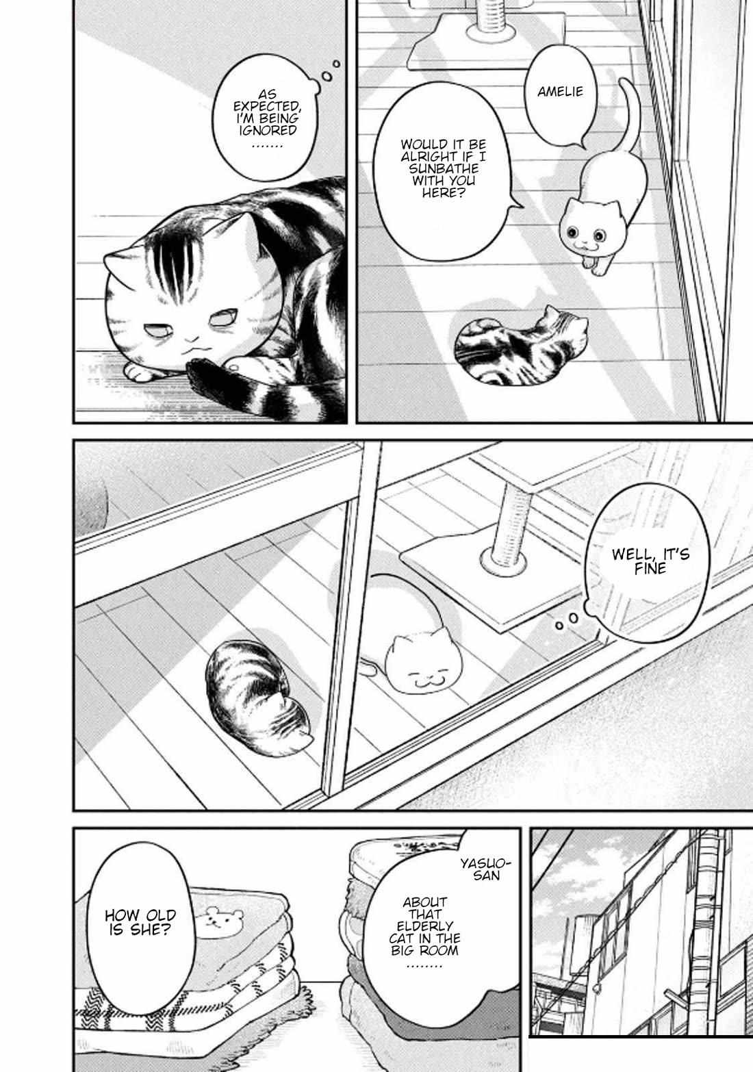 Tsureneko: Maruru to Hachi Chapter 32 page 6 - 