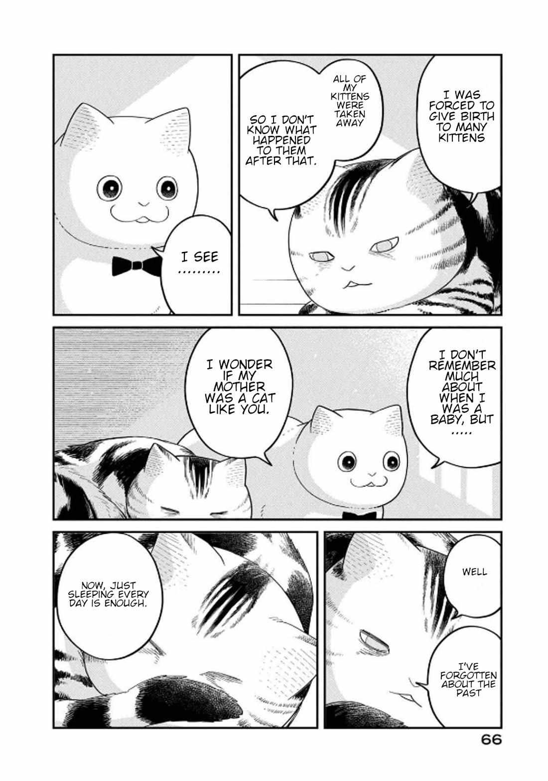 Tsureneko: Maruru to Hachi Chapter 32 page 10 - 
