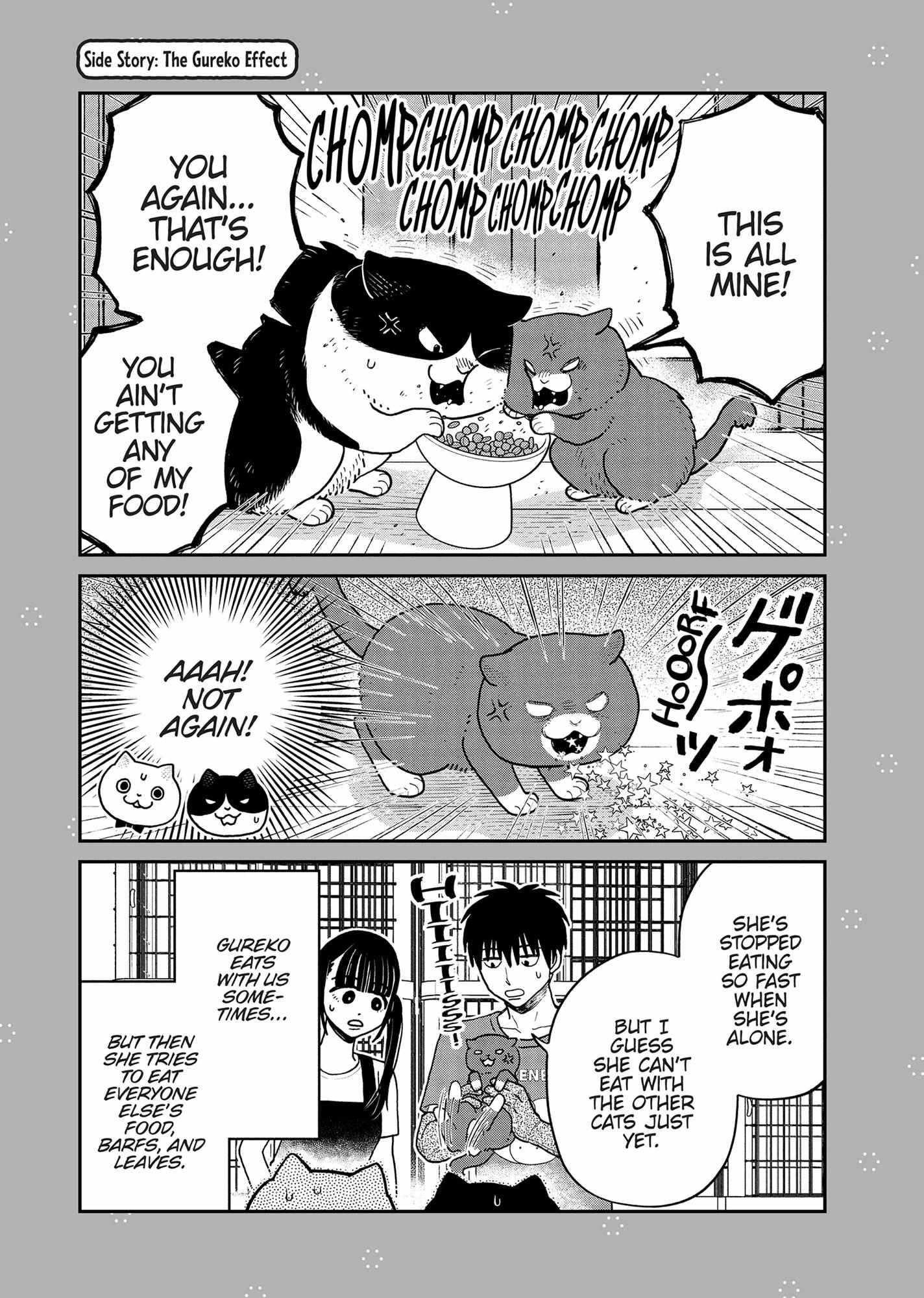 Tsureneko: Maruru to Hachi Chapter 36 page 17 - 
