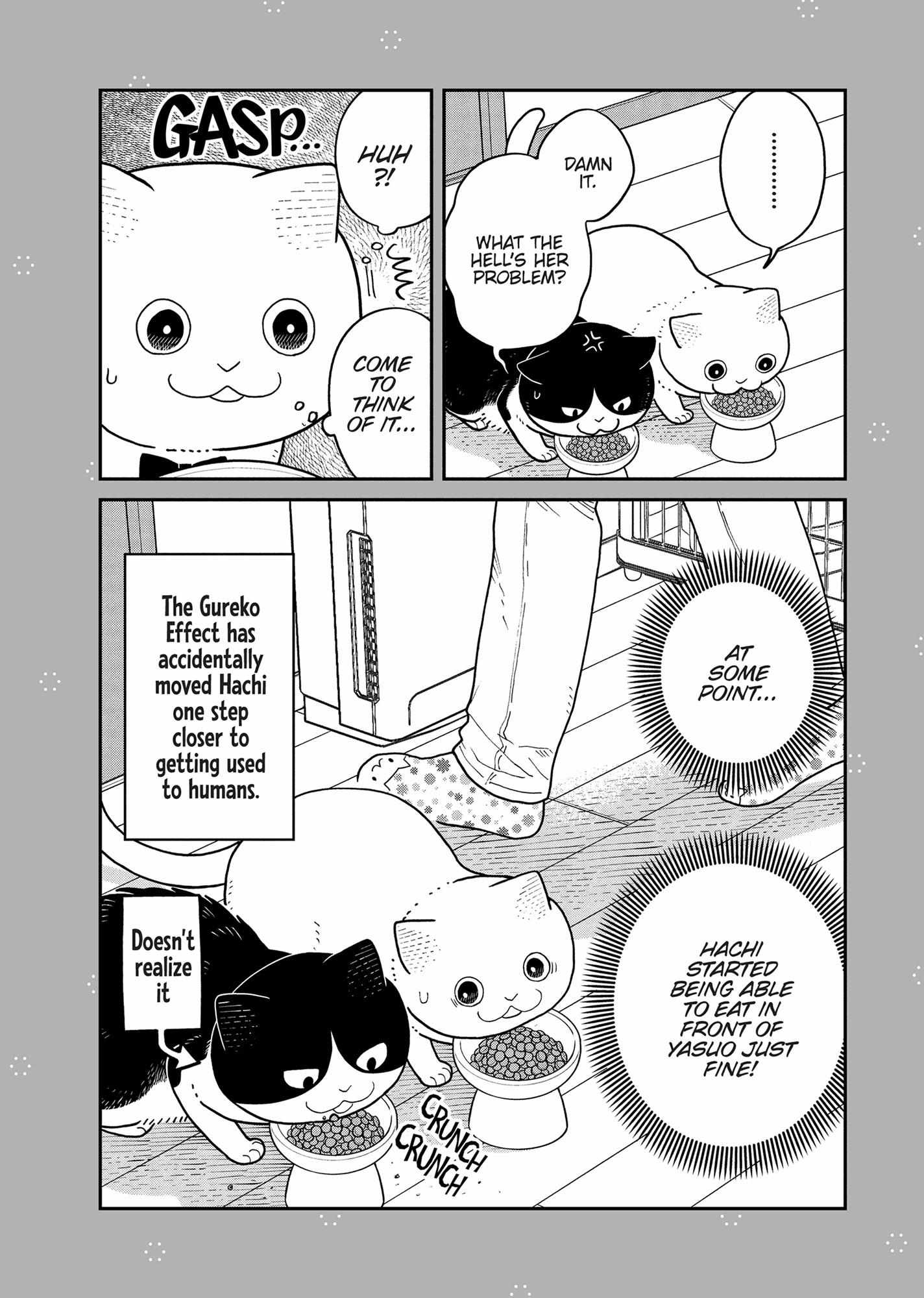 Tsureneko: Maruru to Hachi Chapter 36 page 18 - 