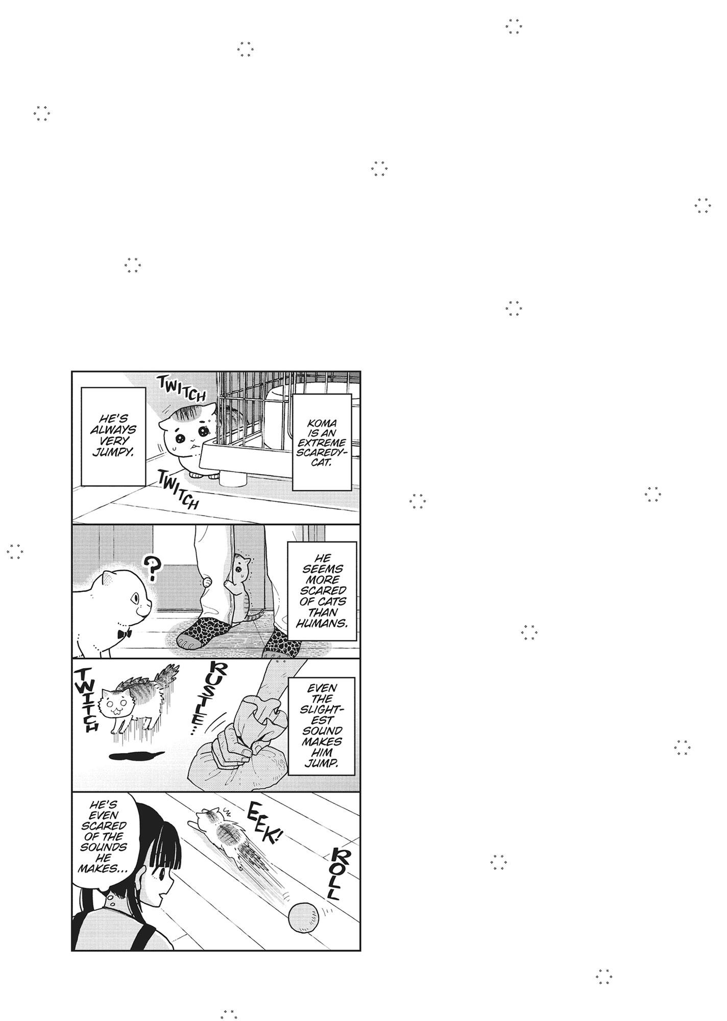 Tsureneko: Maruru to Hachi Chapter 36 page 19 - 