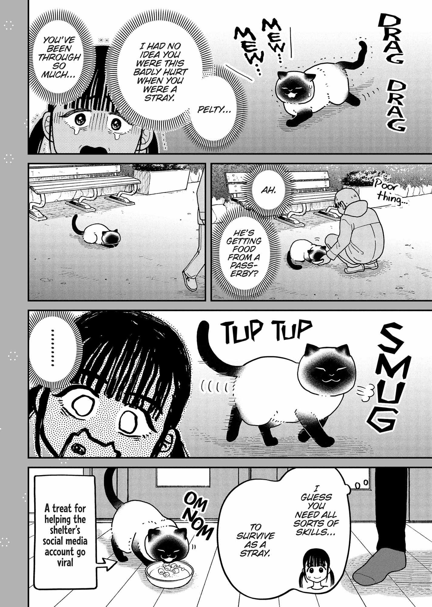 Tsureneko: Maruru to Hachi Chapter 36 page 22 - 