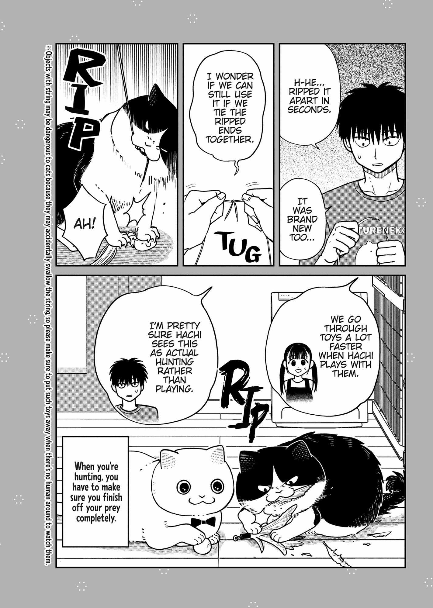 Tsureneko: Maruru to Hachi Chapter 36 page 26 - 