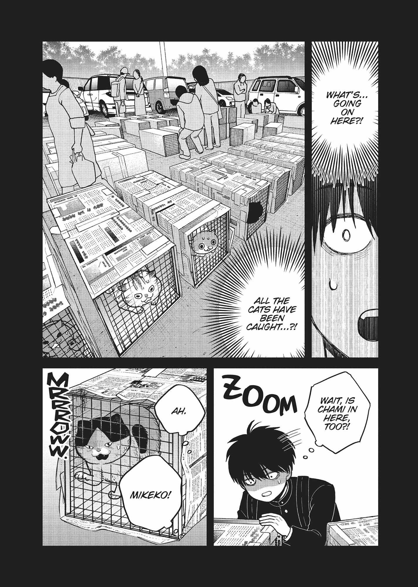 Tsureneko: Maruru to Hachi Chapter 36 page 7 - 