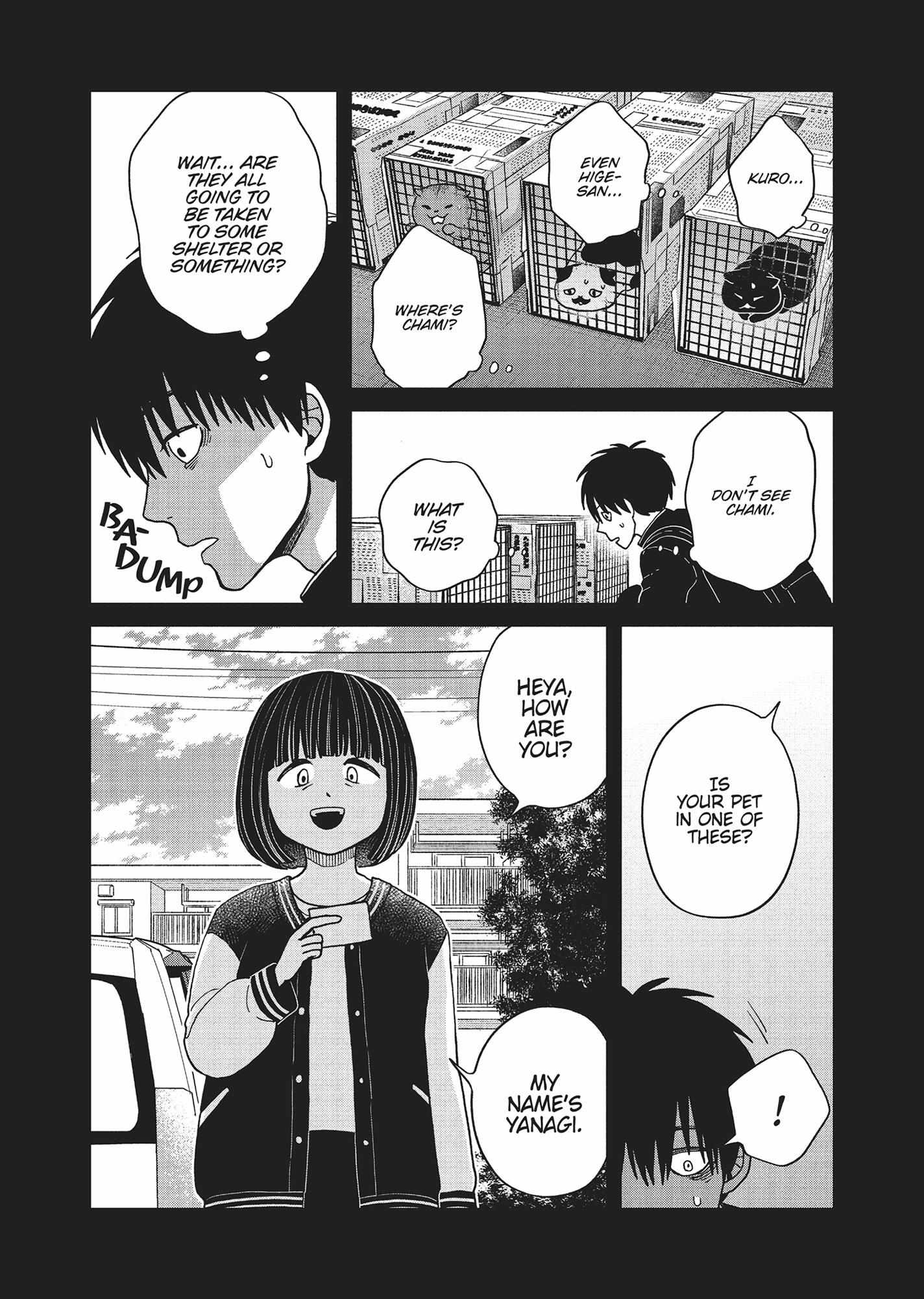 Tsureneko: Maruru to Hachi Chapter 36 page 8 - 