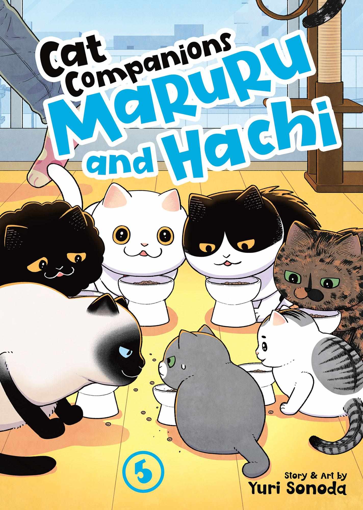 Tsureneko: Maruru to Hachi Chapter 37 page 1 - 