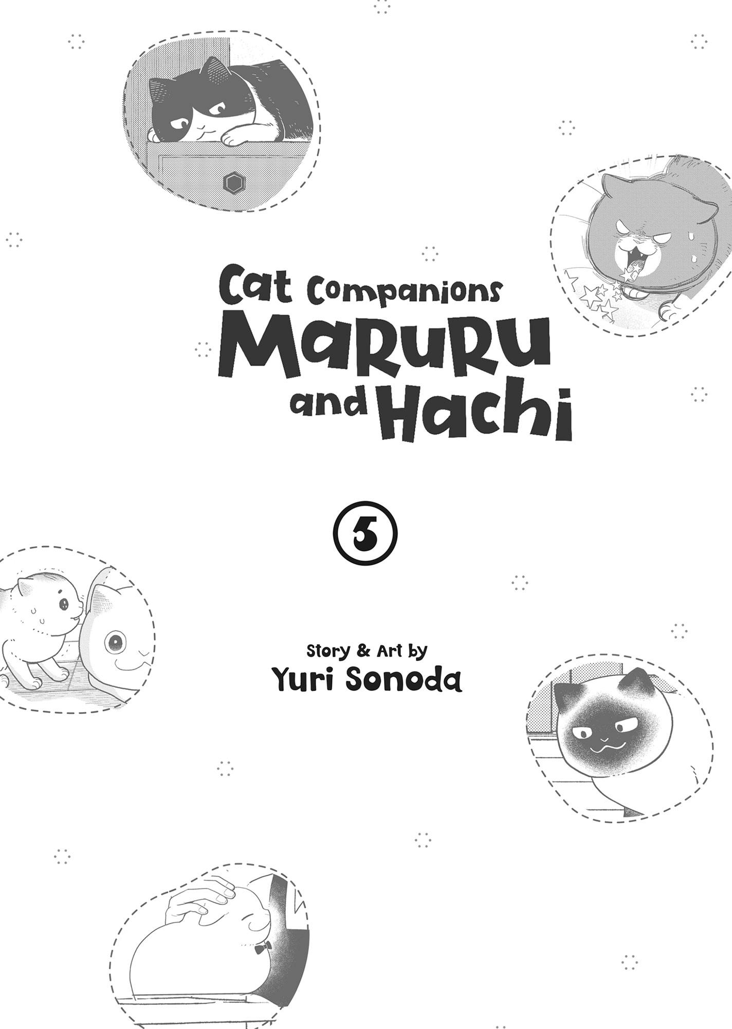 Tsureneko: Maruru to Hachi Chapter 37 page 2 - 
