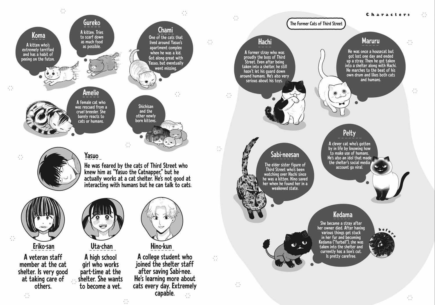Tsureneko: Maruru to Hachi Chapter 37 page 3 - 