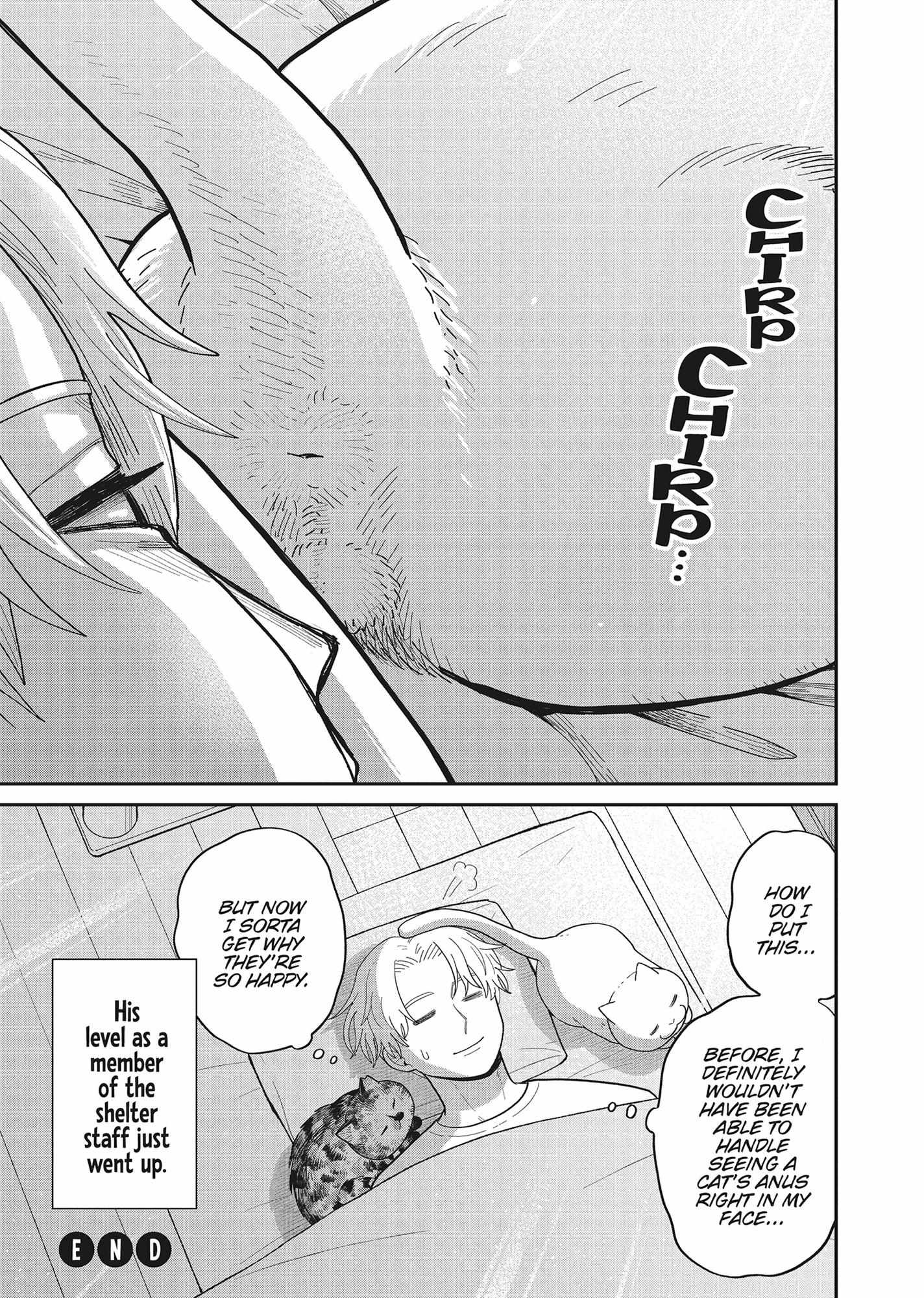 Tsureneko: Maruru to Hachi Chapter 38 page 11 - 